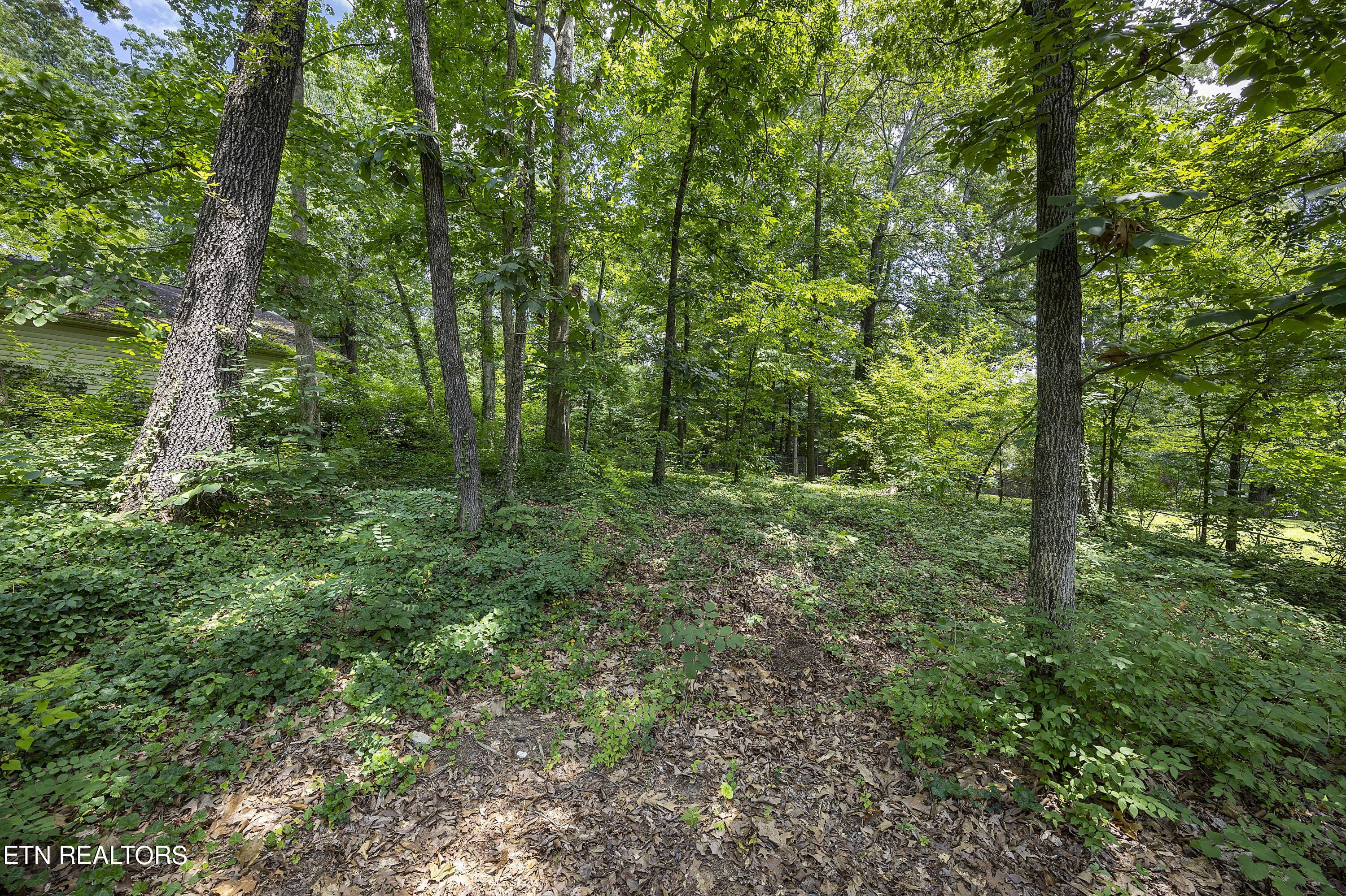 7309 Toxaway Drive Knoxville TN 37909