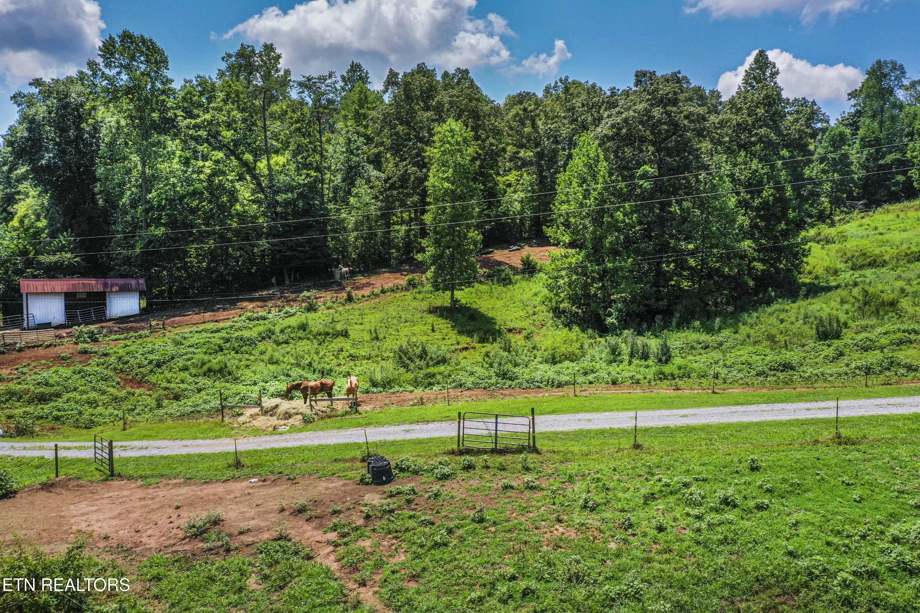 598 Griffith Branch Road Madisonville TN 37354