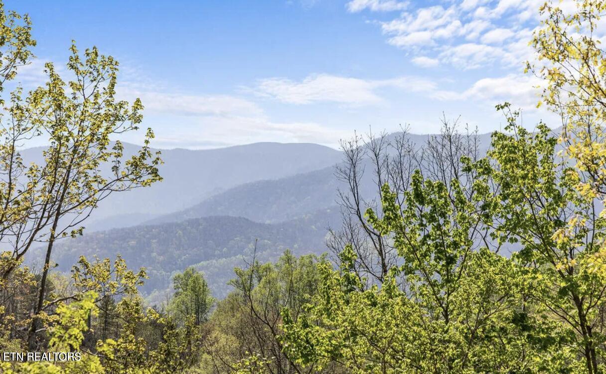 725 Sunshine Trail Gatlinburg TN 37738