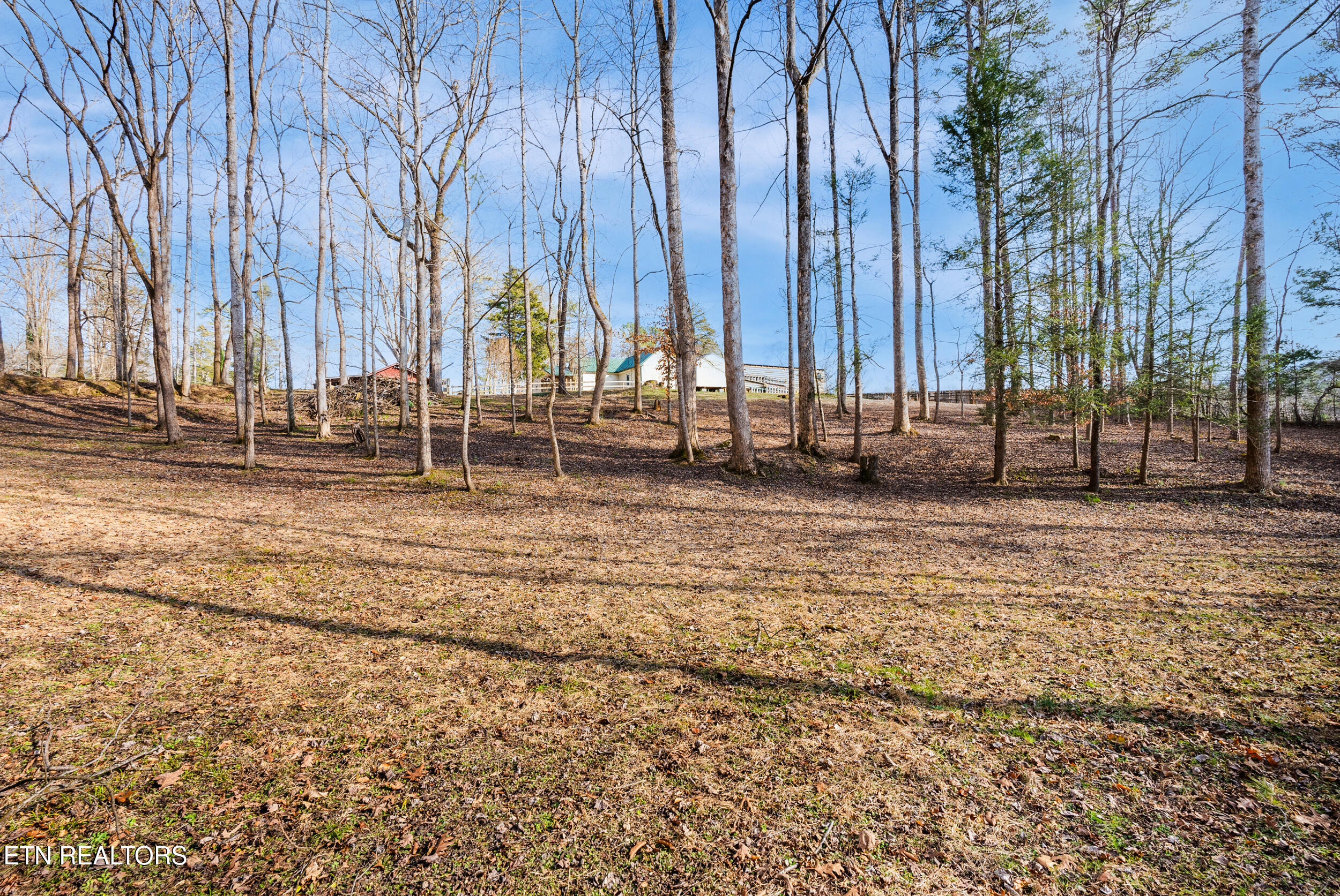 7810 Berry Williams Road Townsend TN 37882