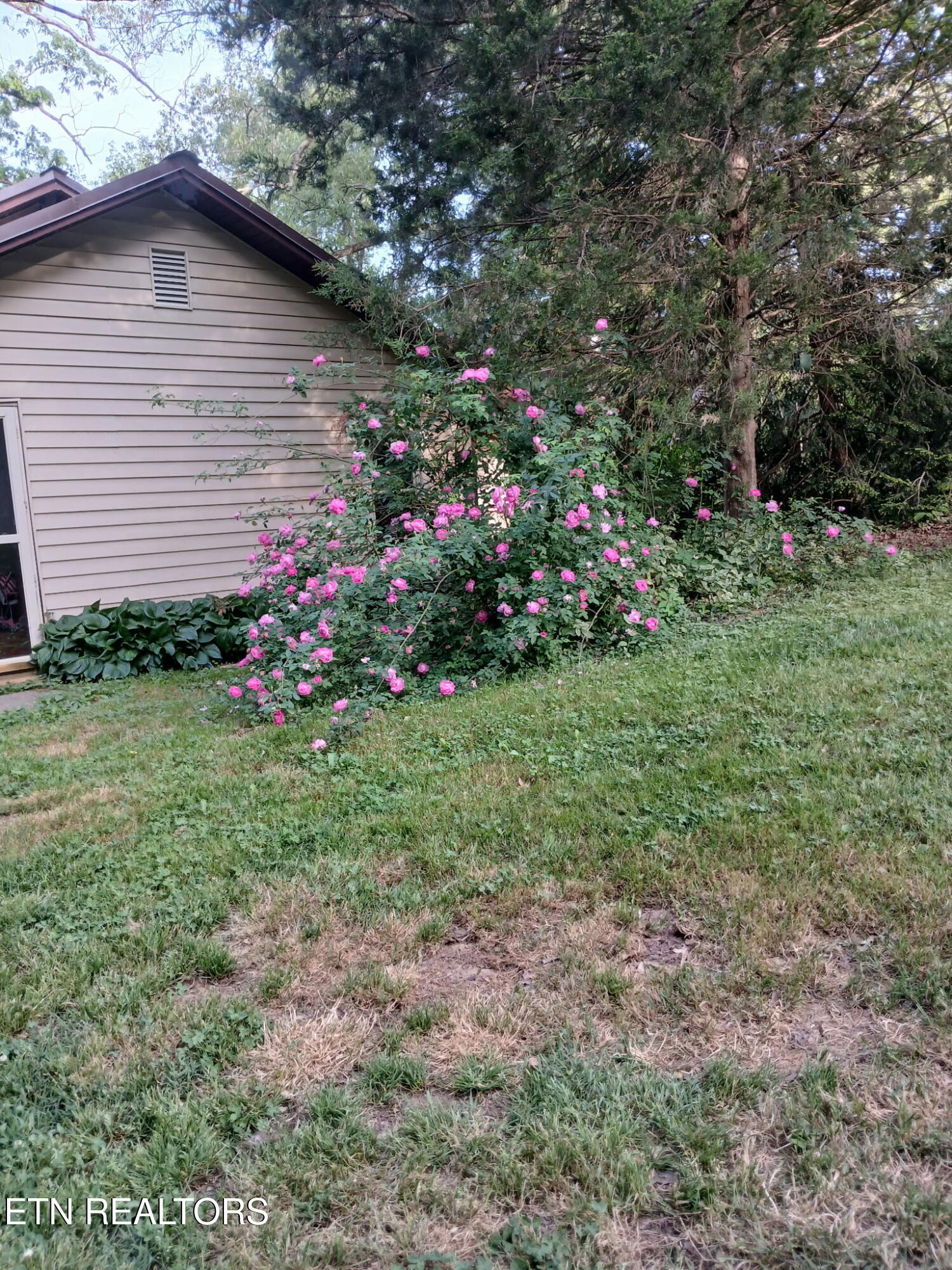 7709 Neubert Springs Road Knoxville TN 37920