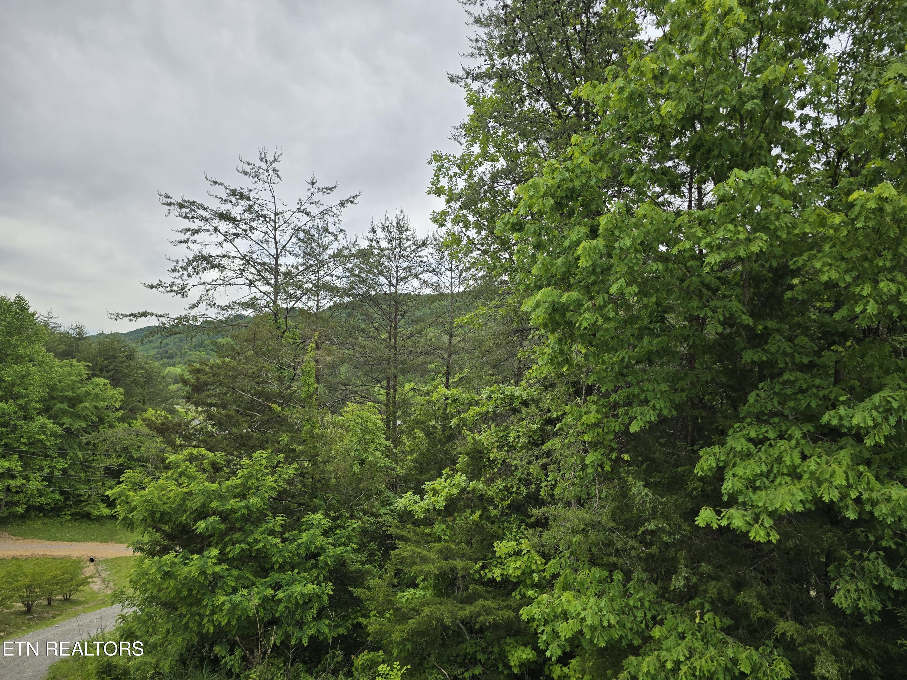 1432 Upper Caney Valley Road Tazewell TN 37879