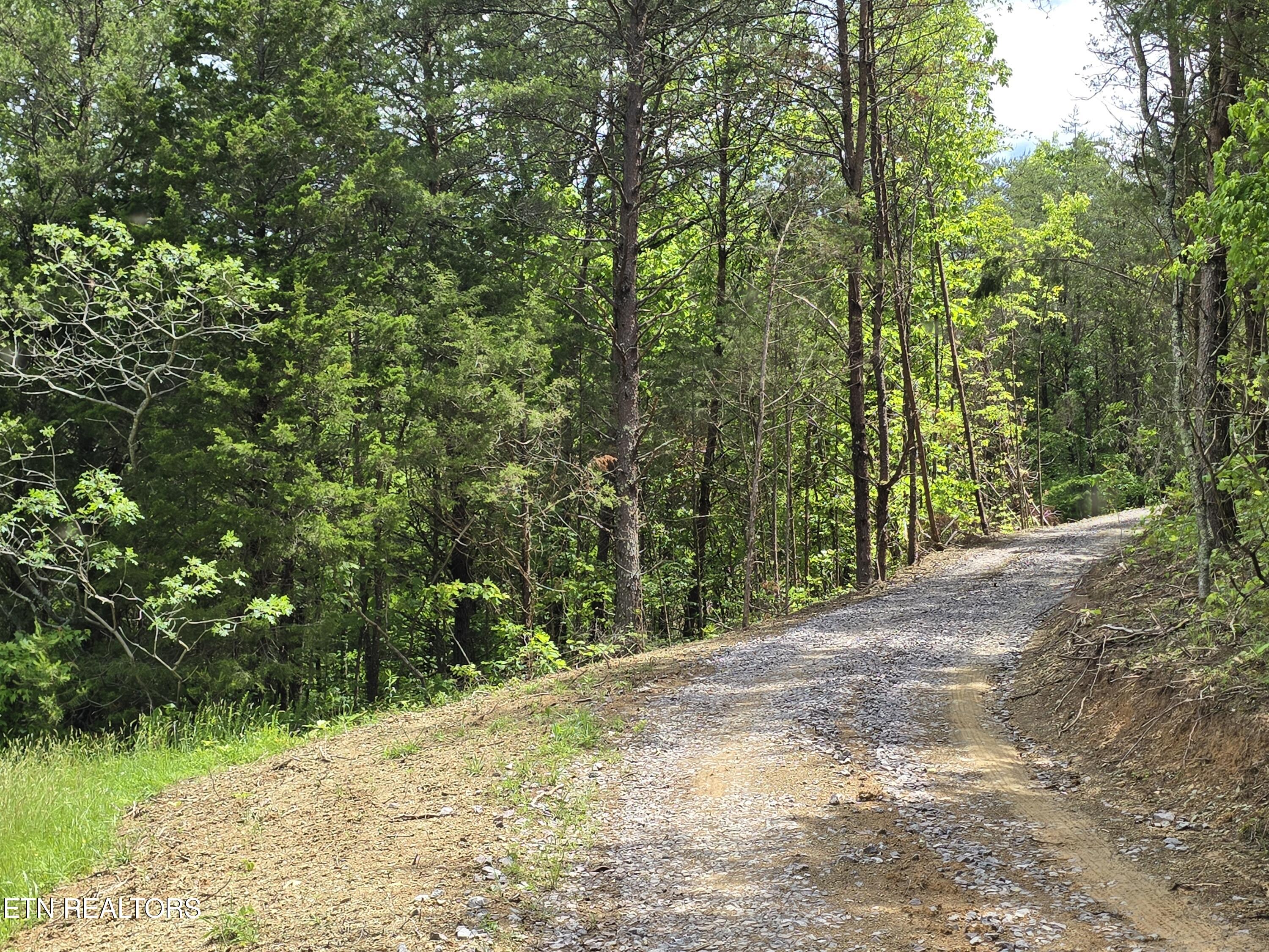 1432 Upper Caney Valley Road Tazewell TN 37879