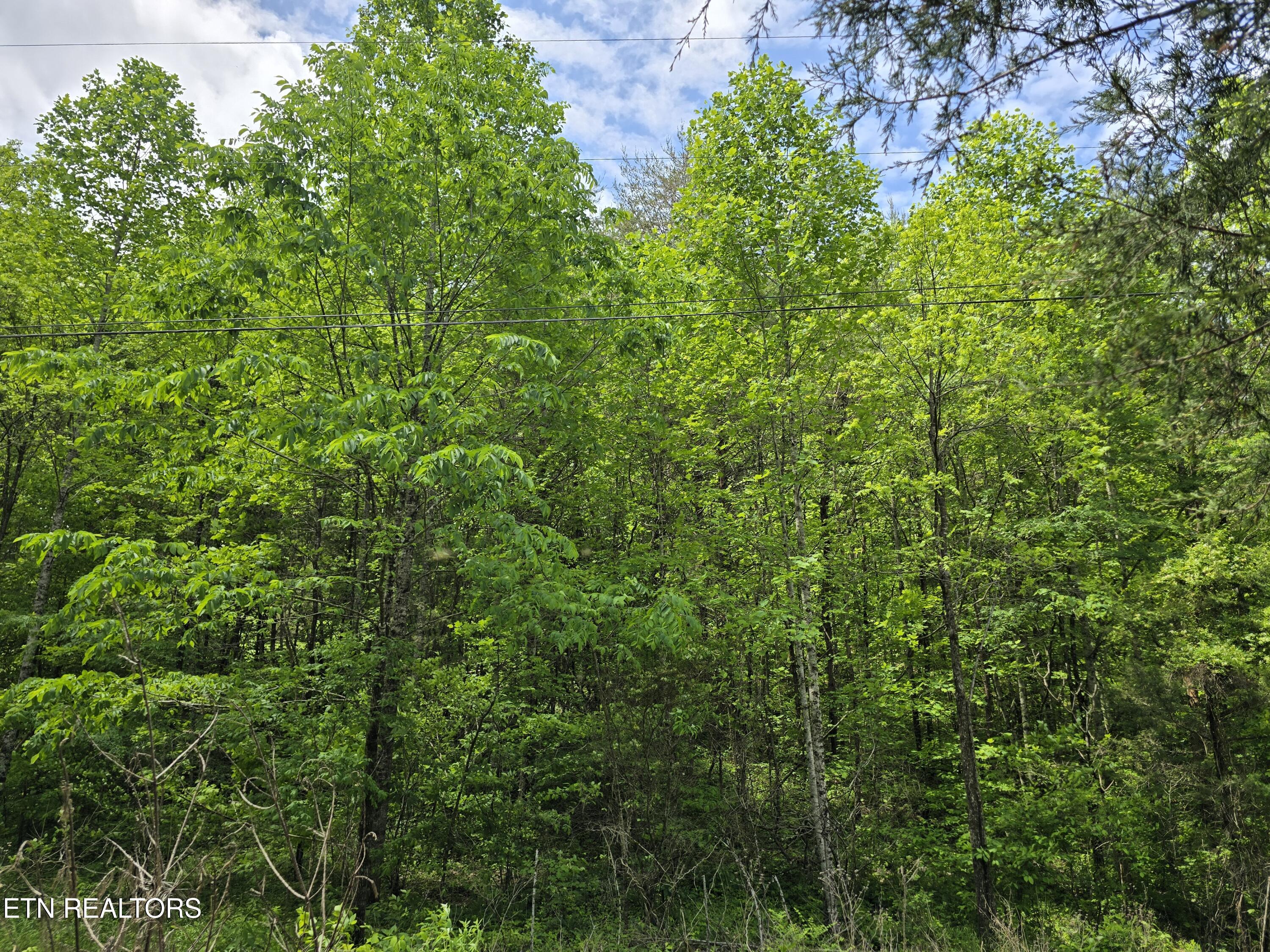 1432 Upper Caney Valley Road Tazewell TN 37879