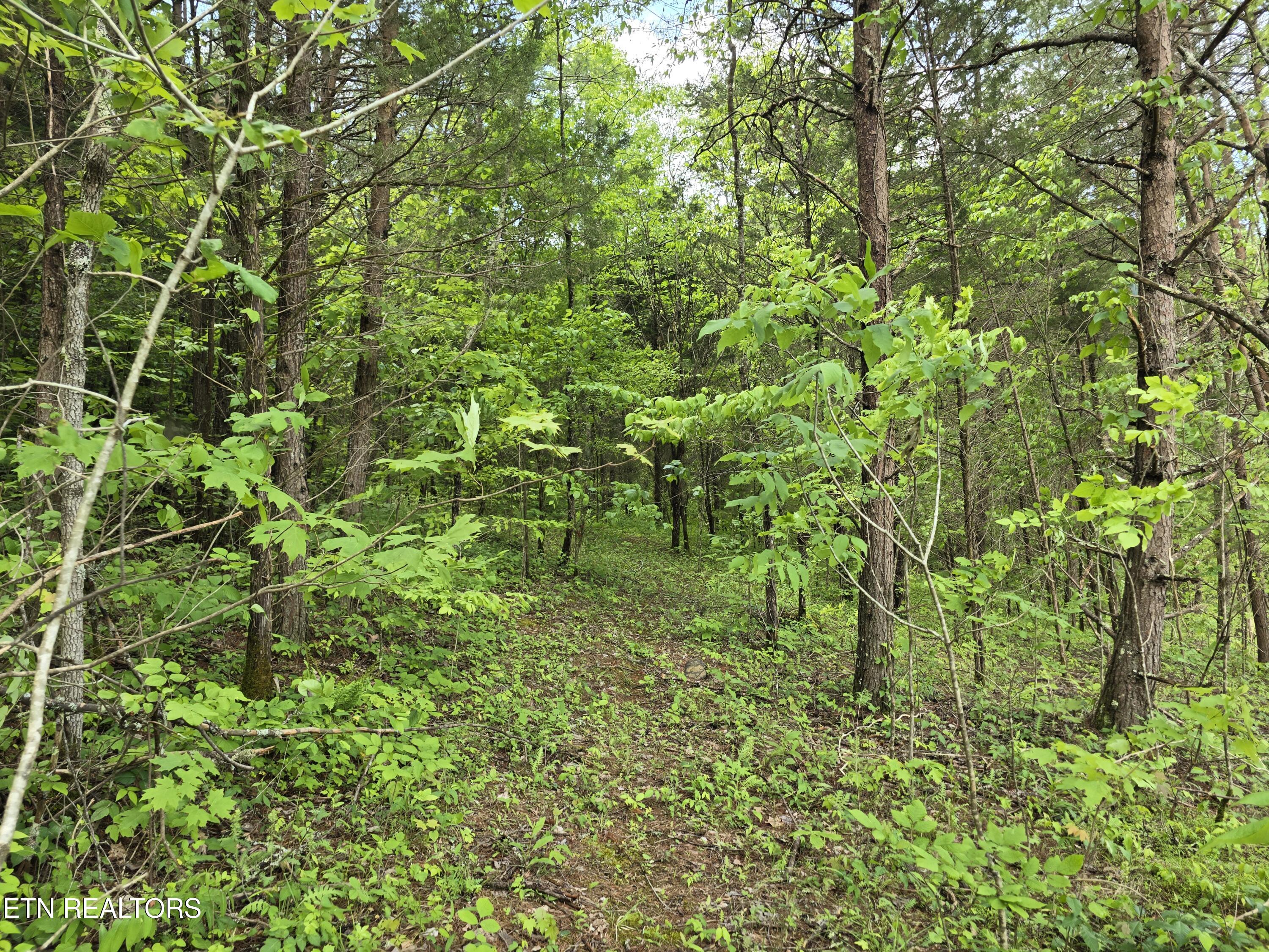 1432 Upper Caney Valley Road Tazewell TN 37879