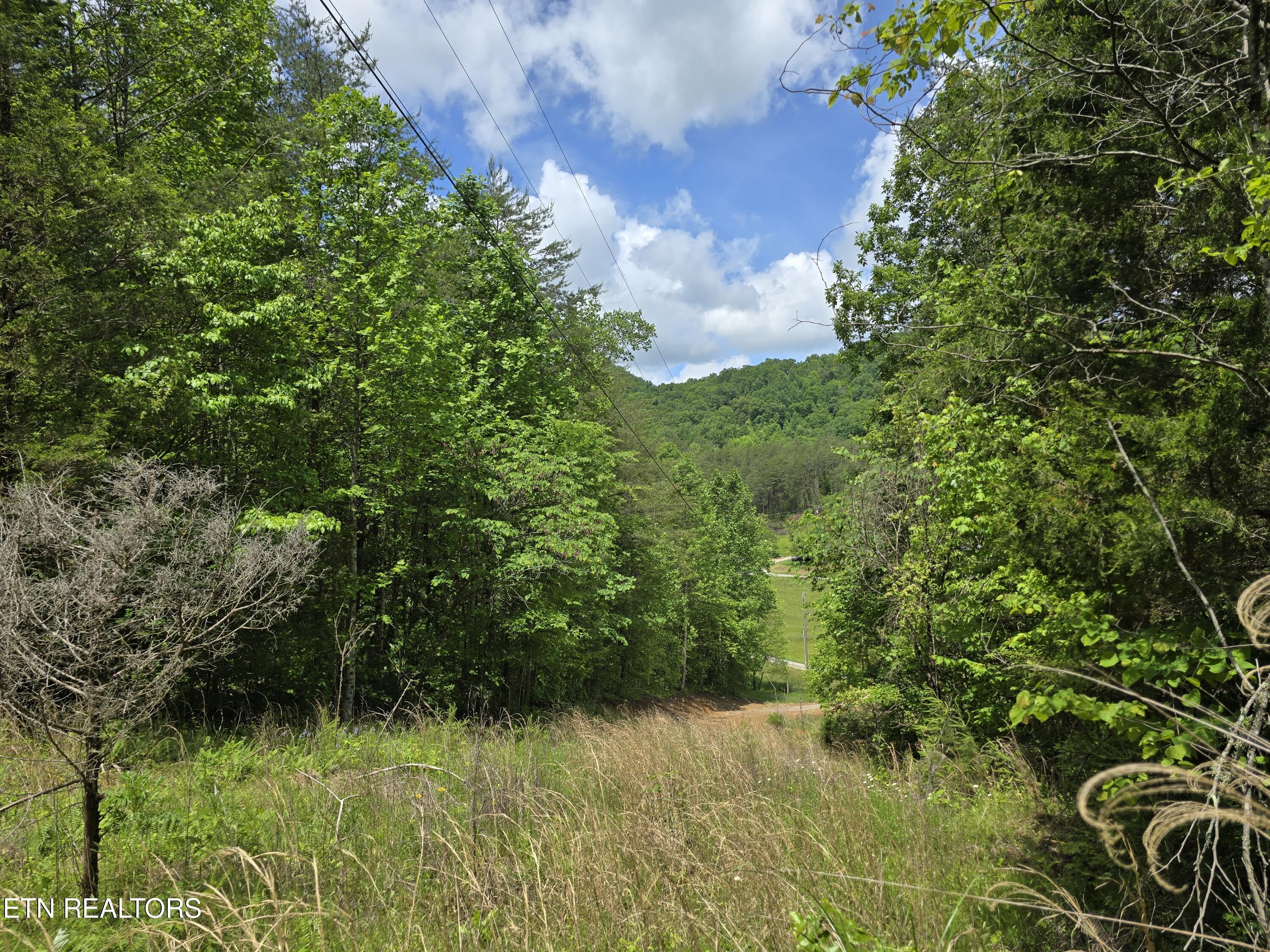 1432 Upper Caney Valley Road Tazewell TN 37879