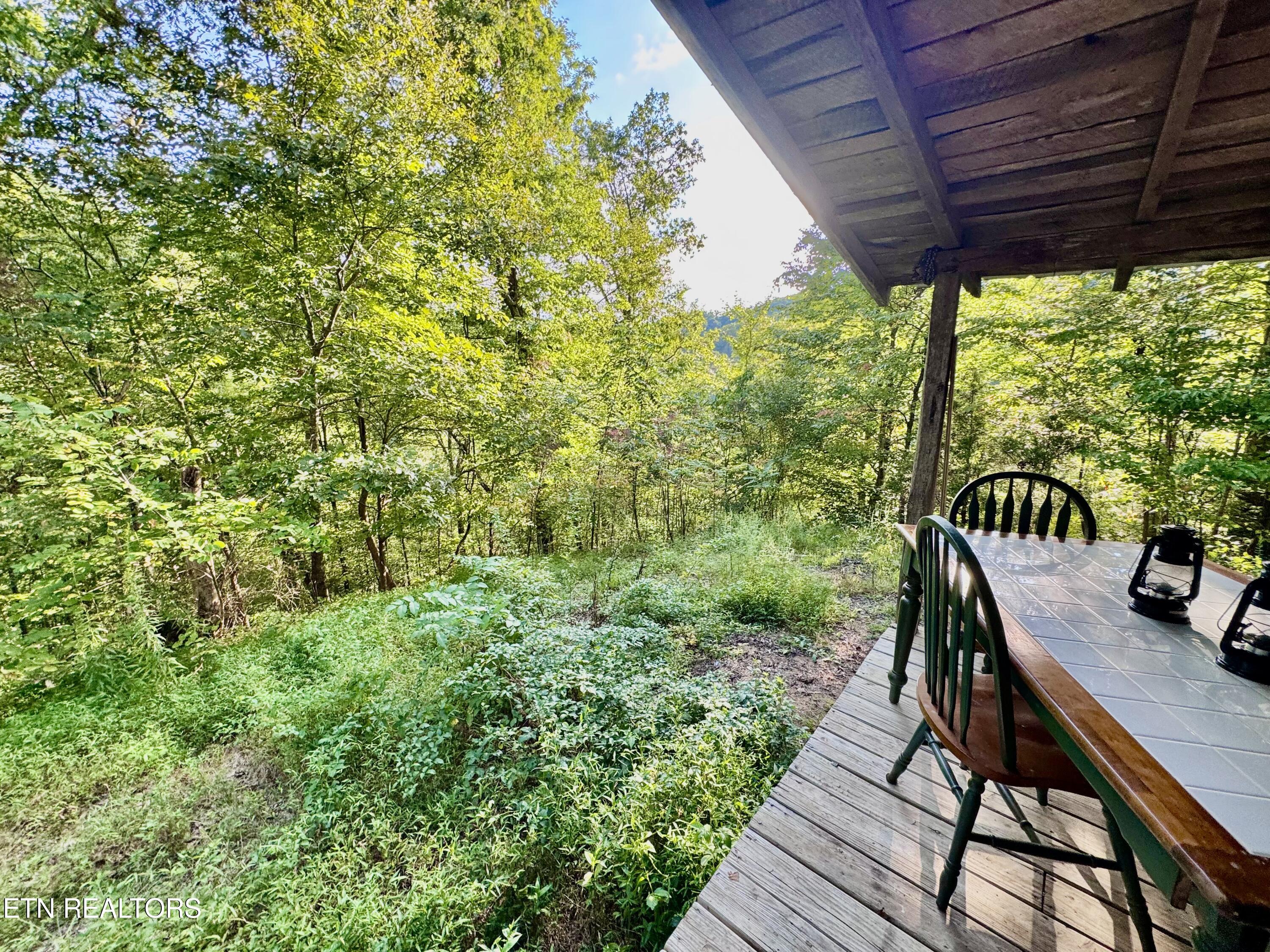 2977 Arch Road Cosby TN 37722
