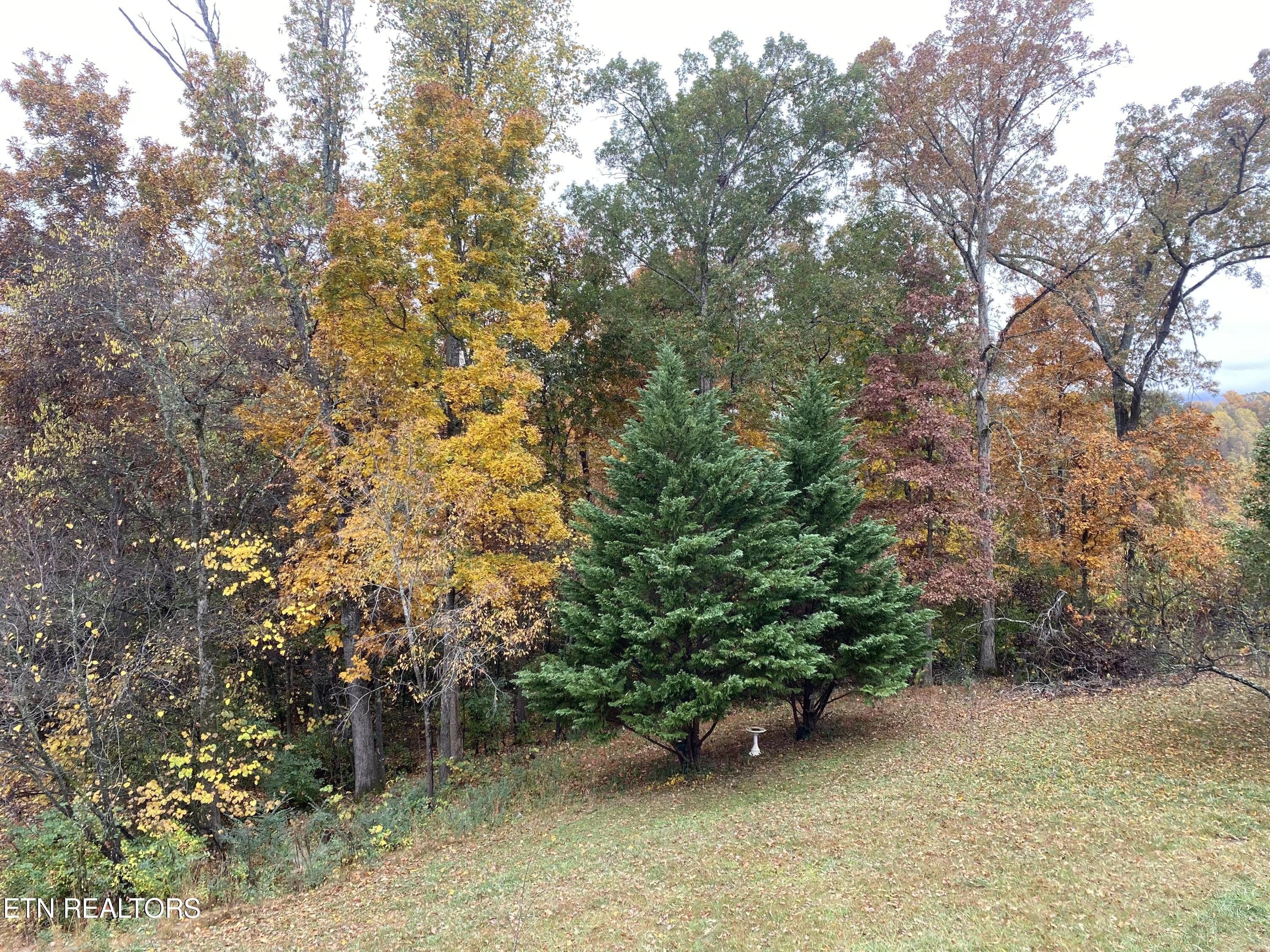 1479 Green Acres Drive Newport TN 37821