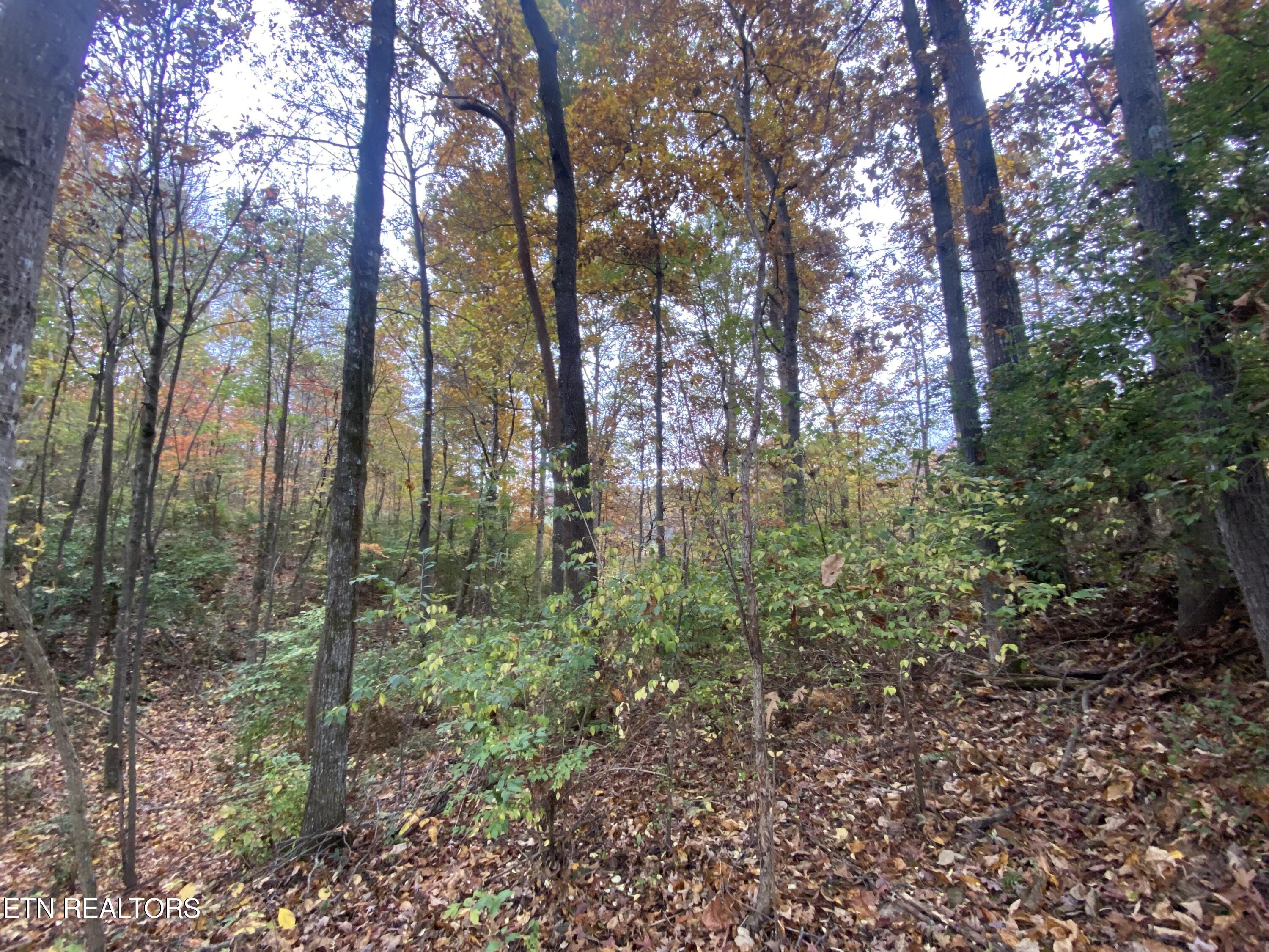 1479 Green Acres Drive Newport TN 37821