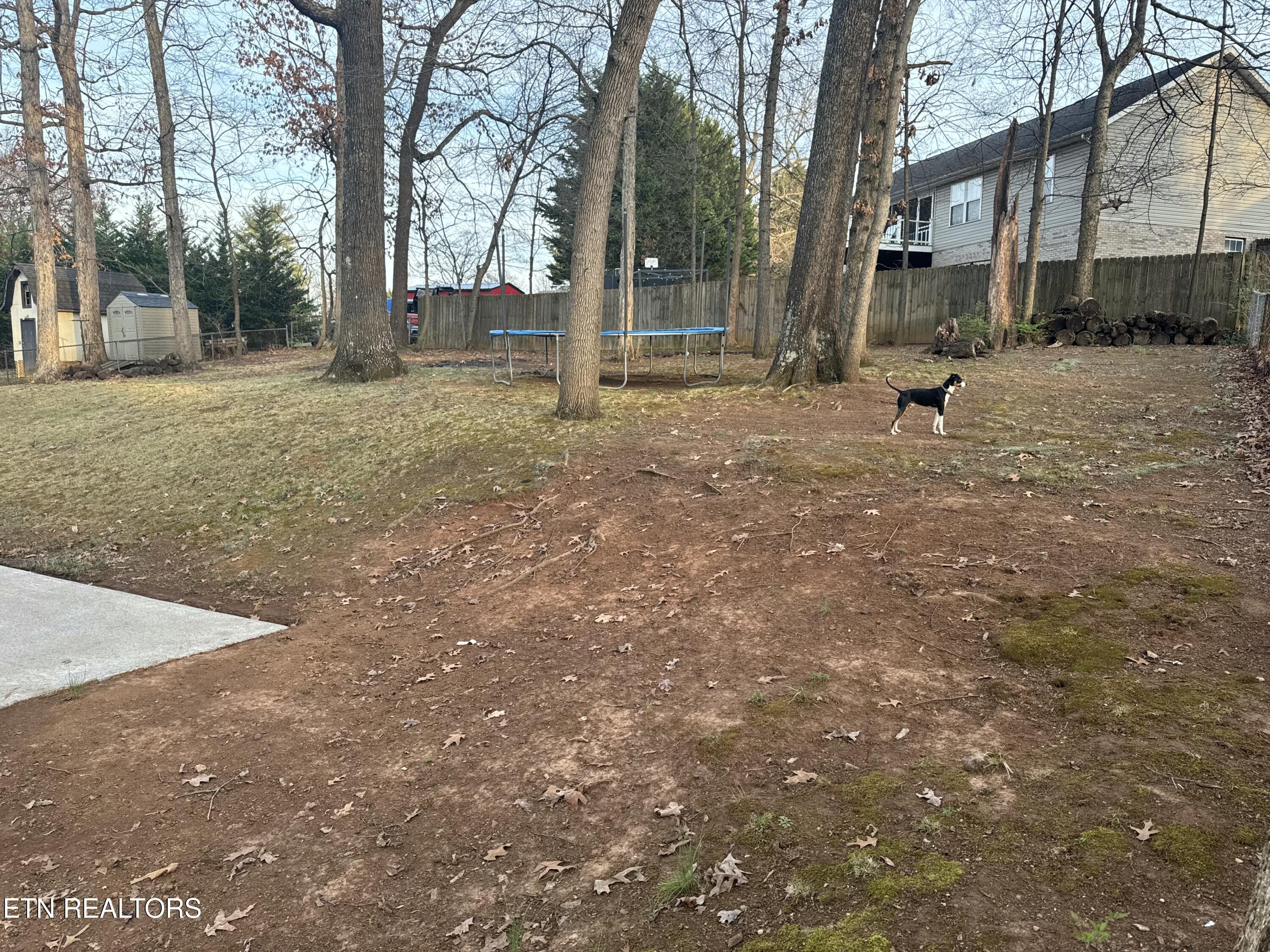 1808 E Alpine Drive Maryville TN 37804