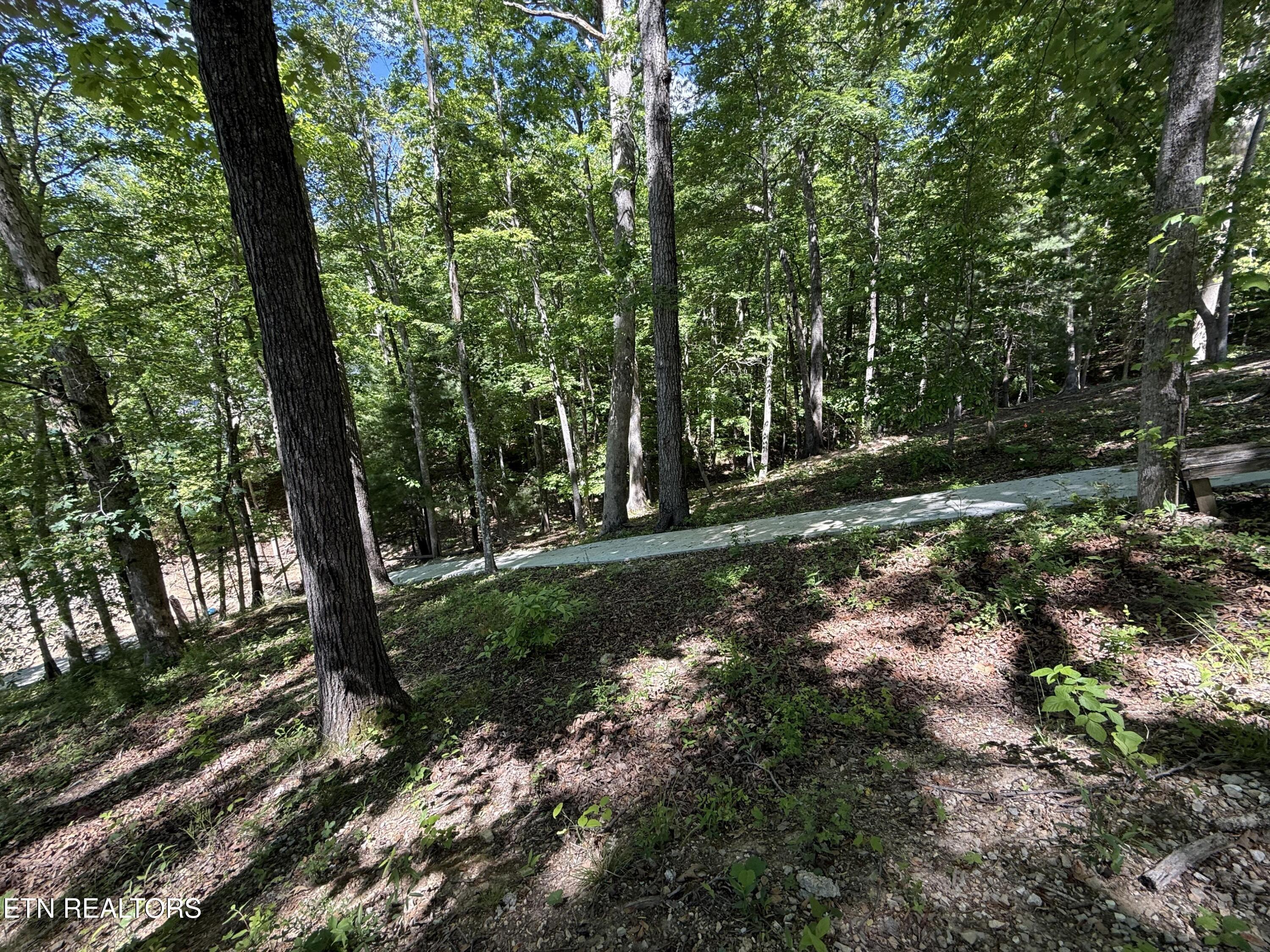 222 Big Creek Lane Lafollette TN 37766