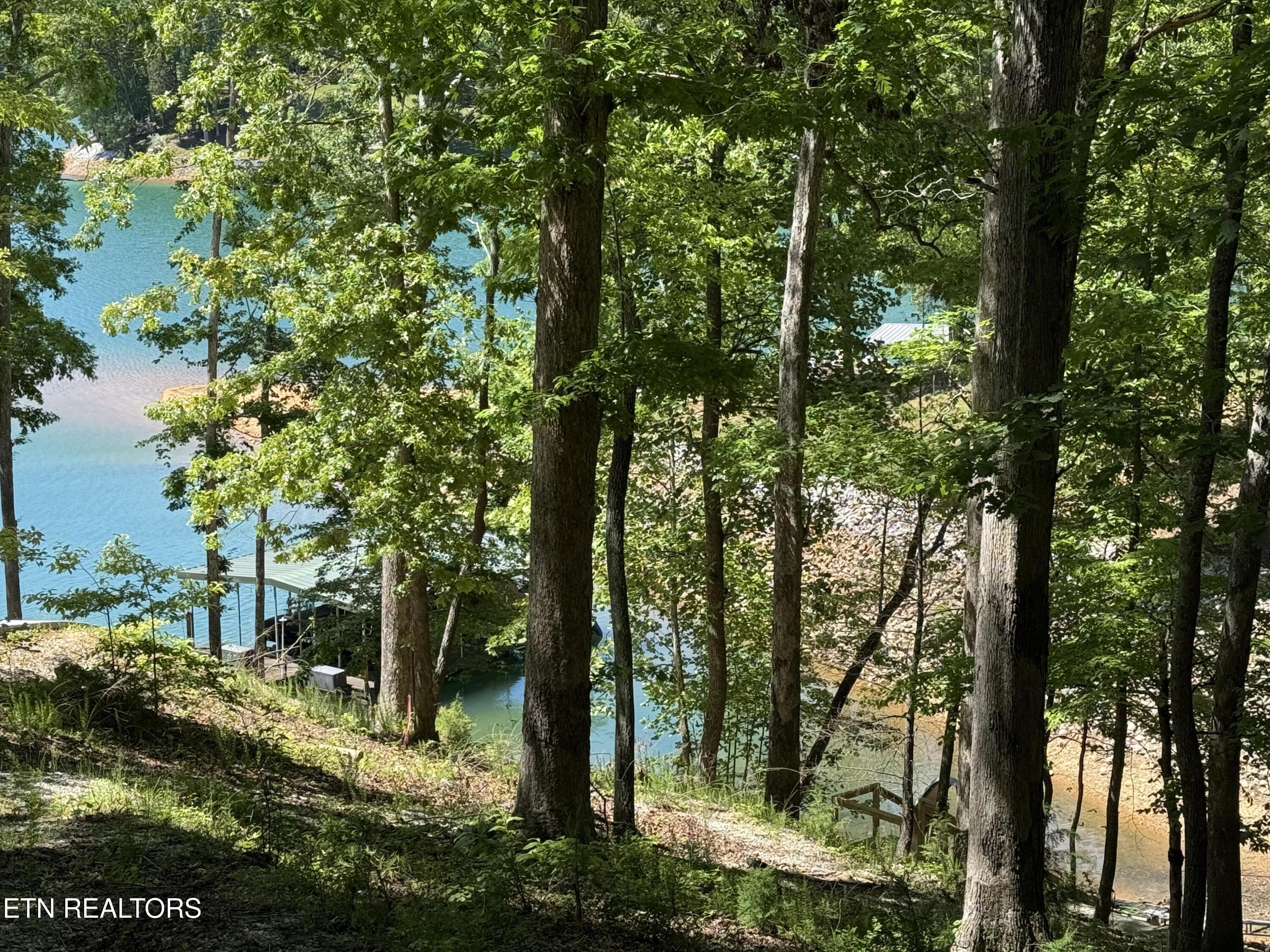 222 Big Creek Lane Lafollette TN 37766