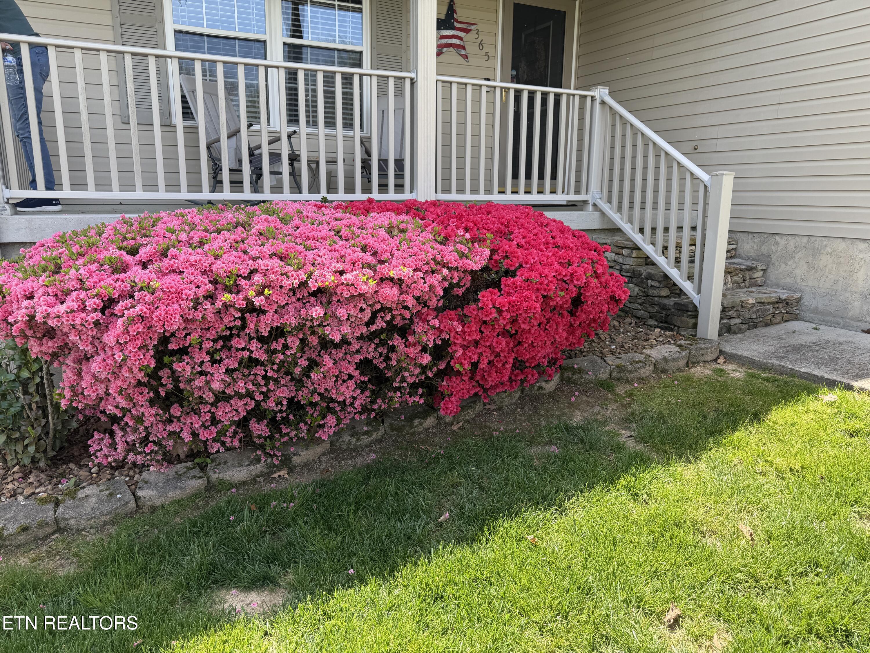 365 Carriage Drive Crossville TN 38555