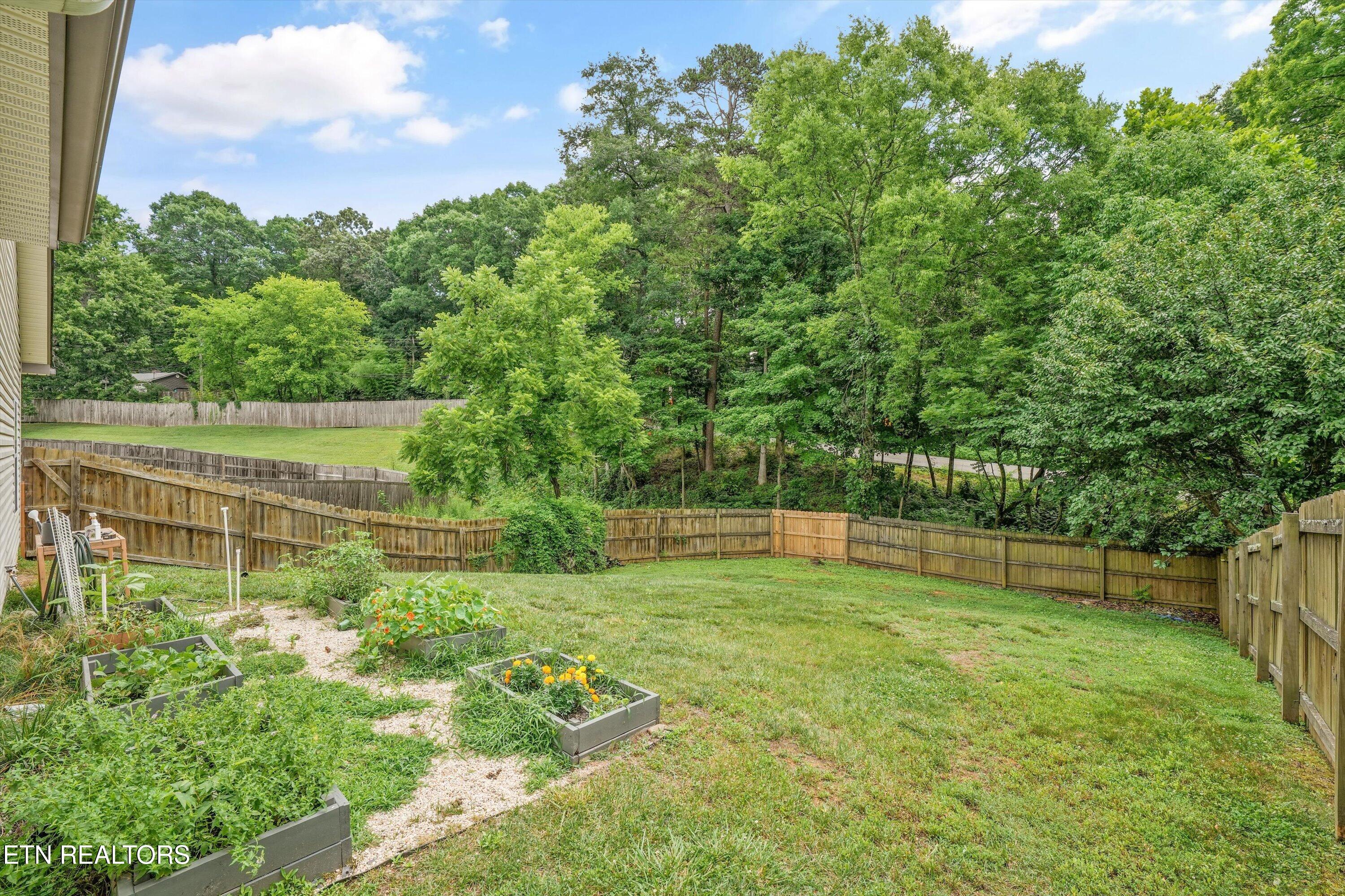 10816 Meriwether Lane Knoxville TN 37934