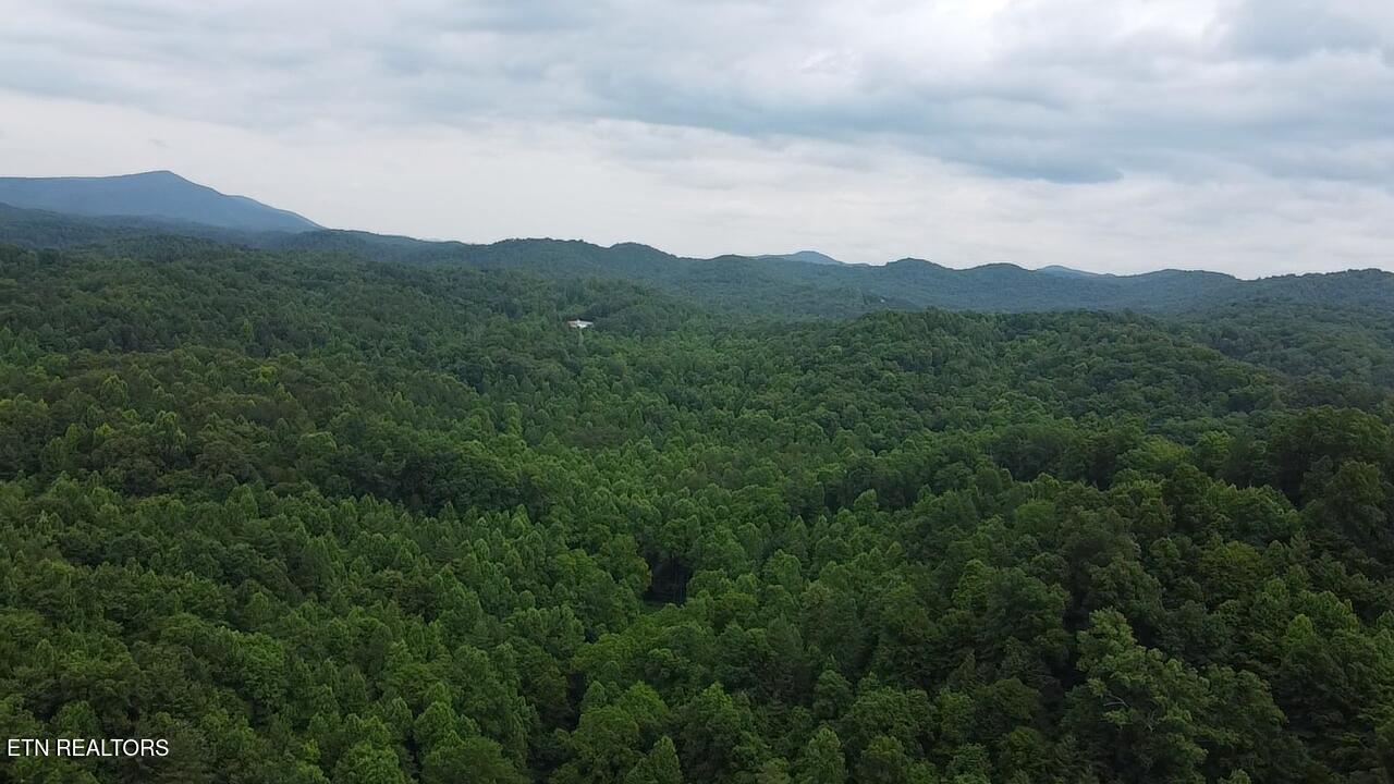 239 Towee Pike Reliance TN 37369