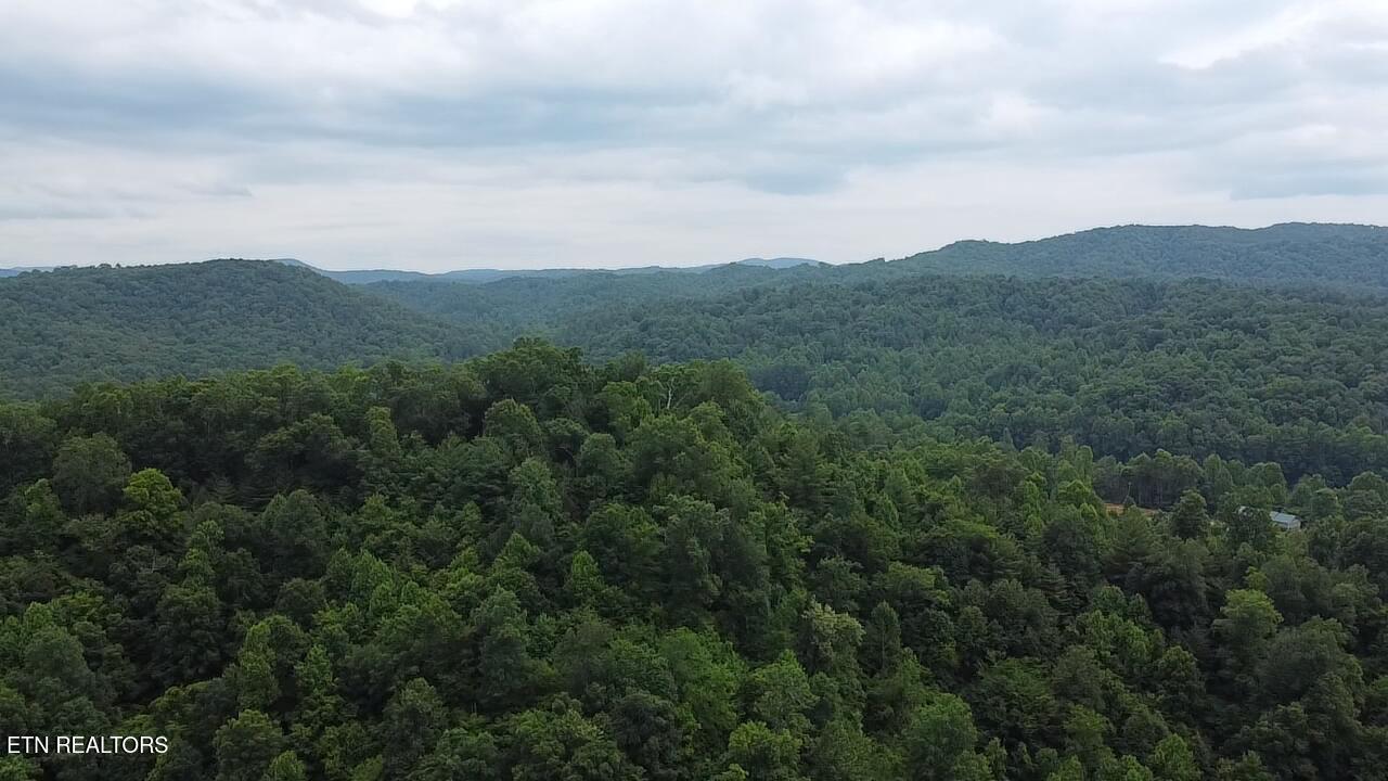 239 Towee Pike Reliance TN 37369