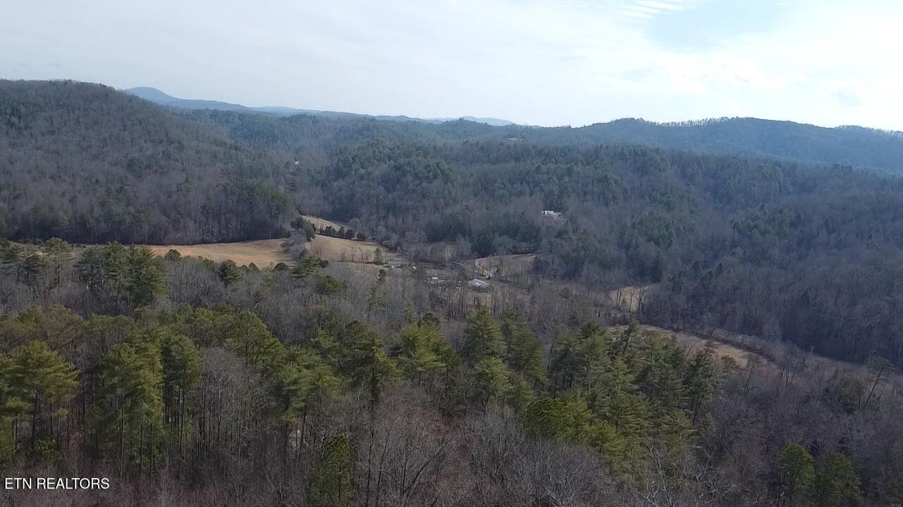 239 Towee Pike Reliance TN 37369
