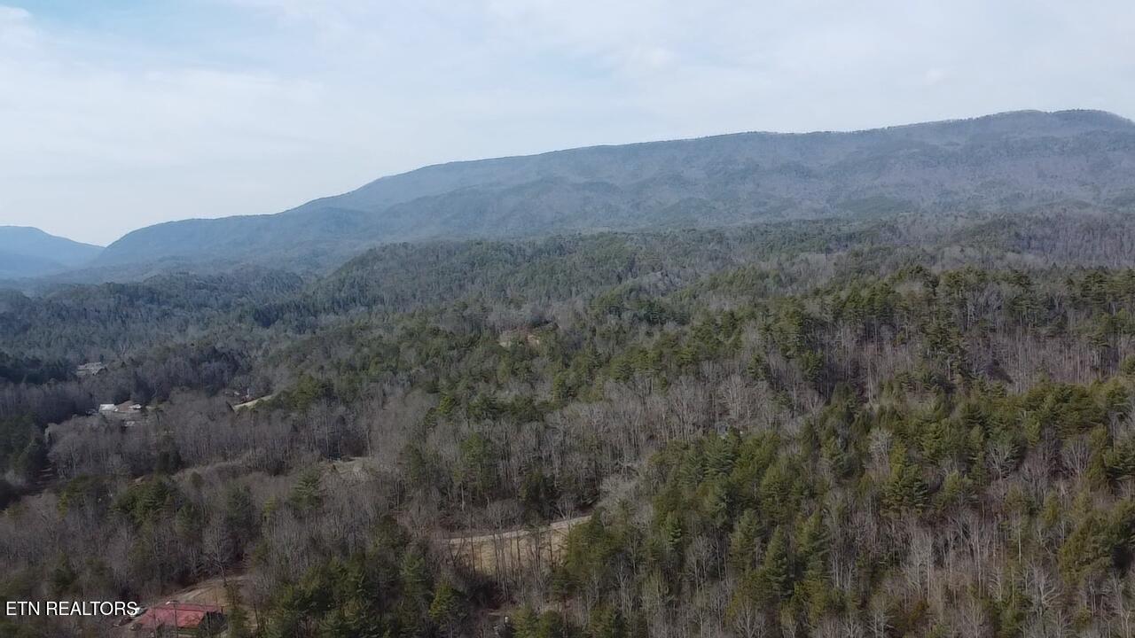239 Towee Pike Reliance TN 37369