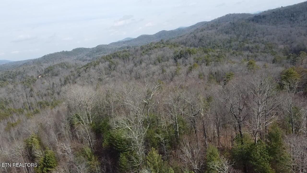 239 Towee Pike Reliance TN 37369