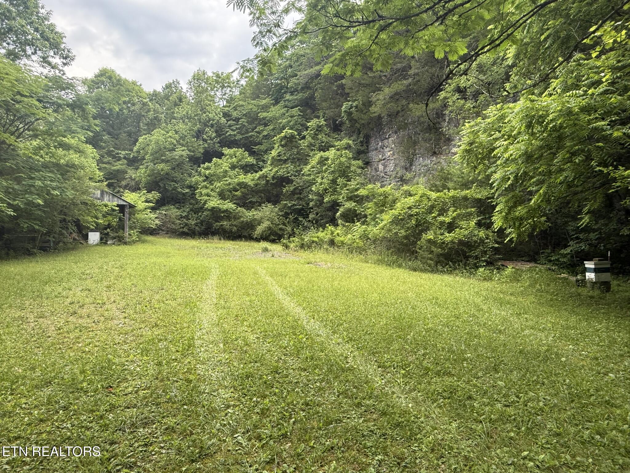 239 Towee Pike Reliance TN 37369