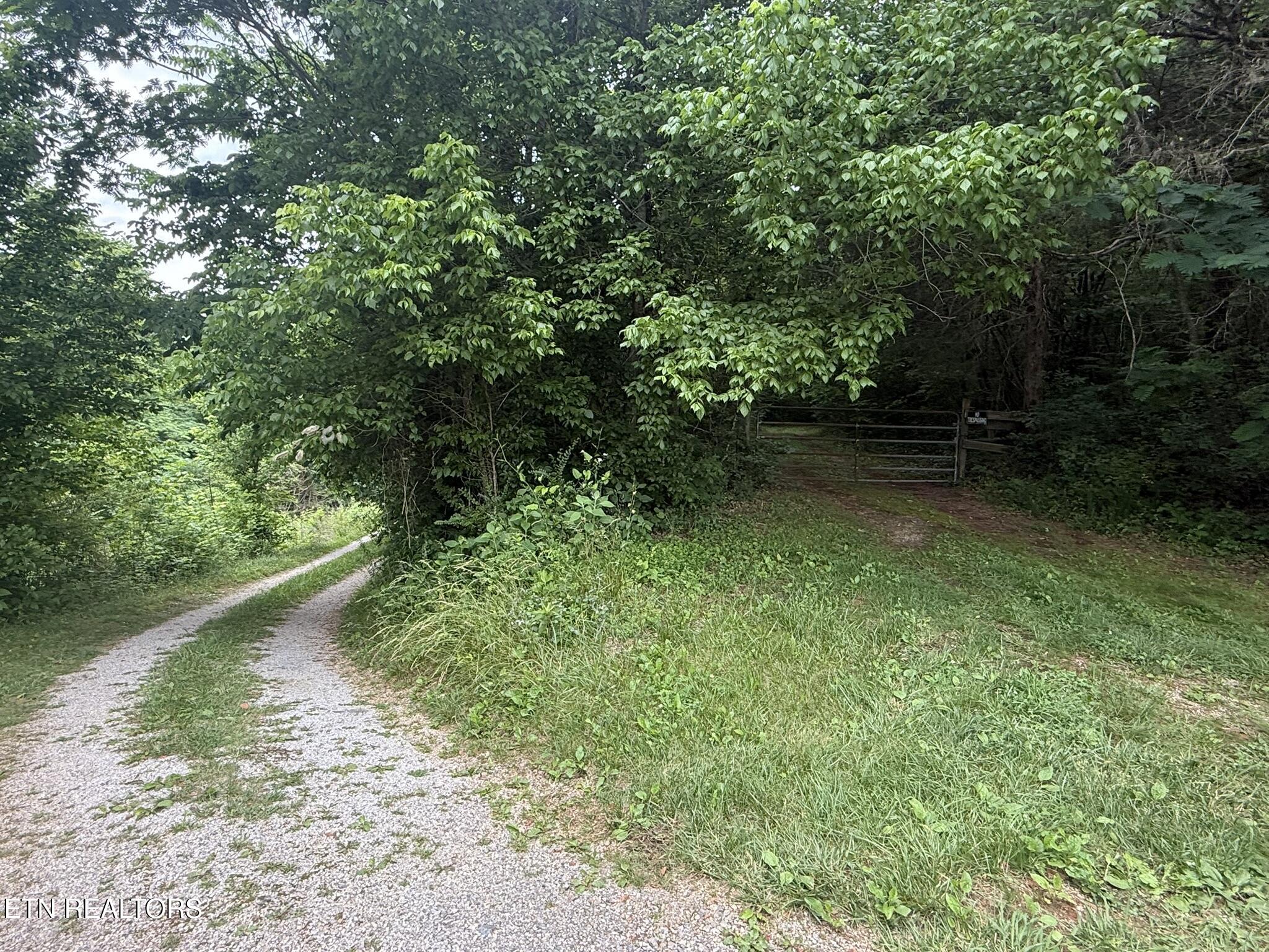 239 Towee Pike Reliance TN 37369