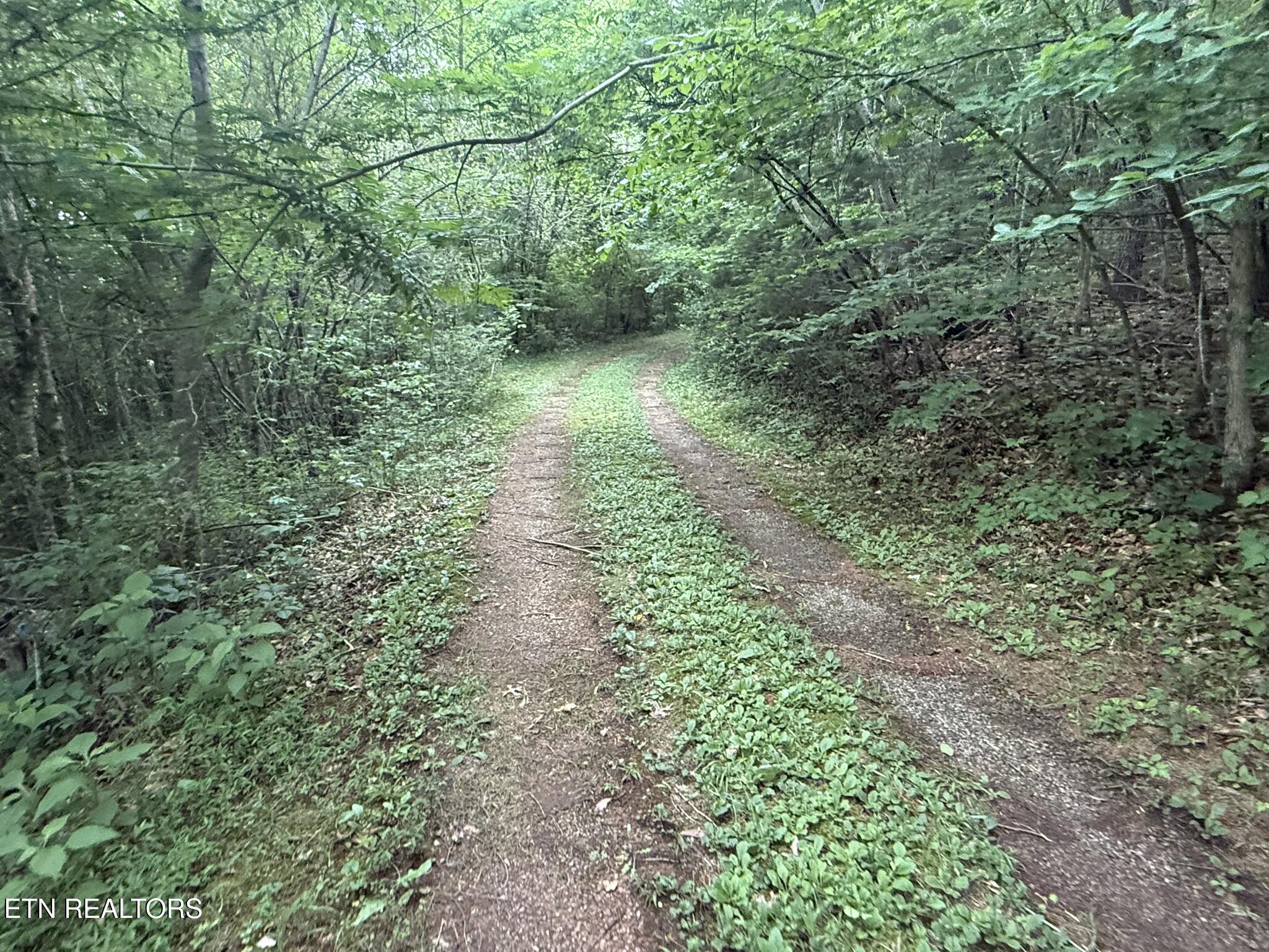 239 Towee Pike Reliance TN 37369