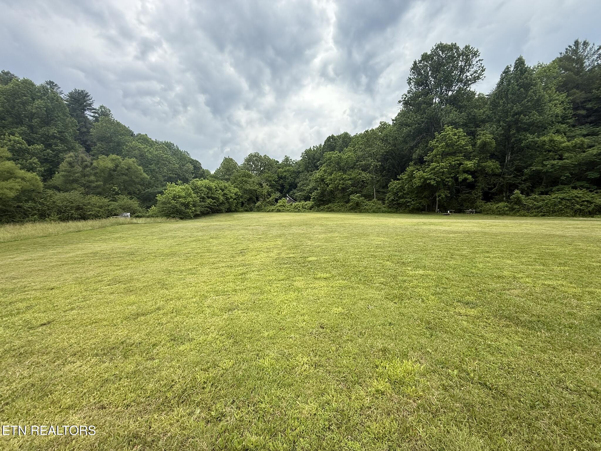239 Towee Pike Reliance TN 37369