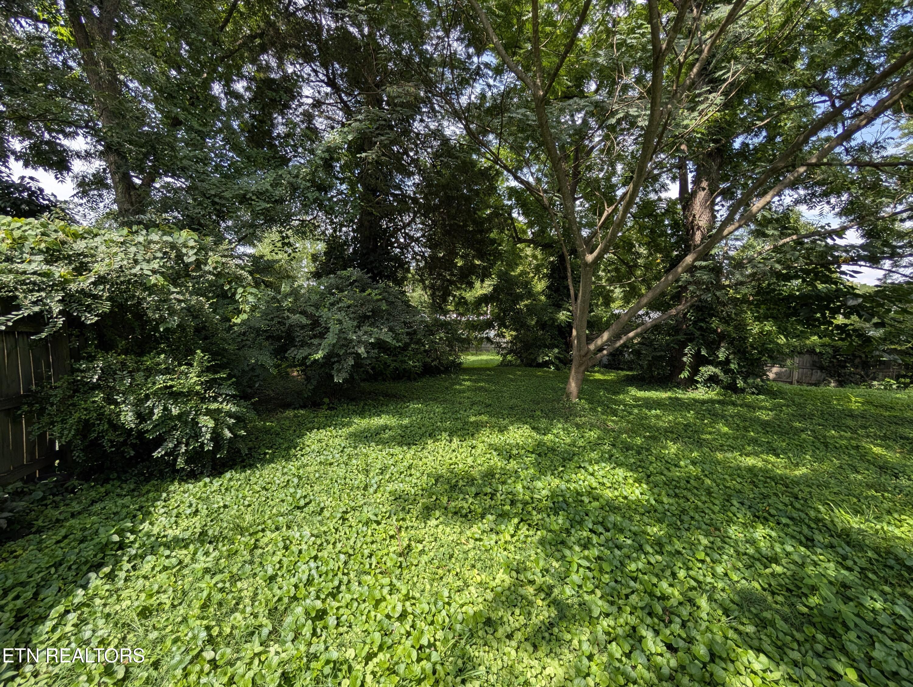 8501 Garrison Drive Knoxville TN 37931