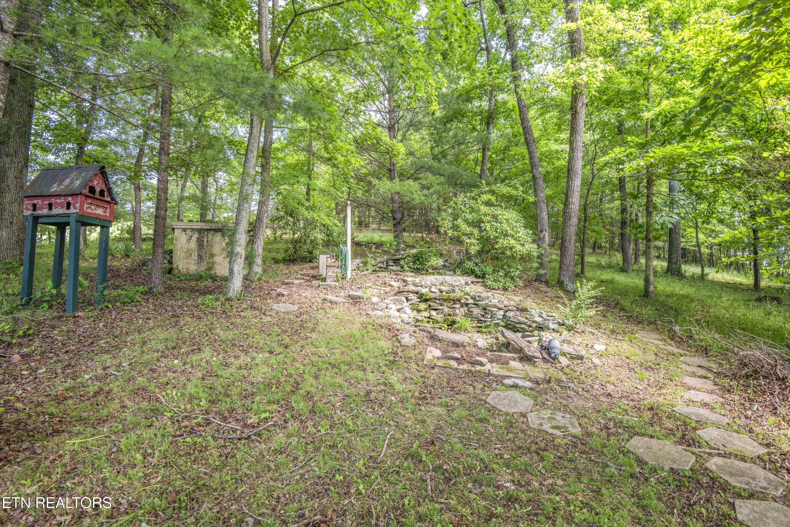 17761 Alberta Street Oneida TN 37841