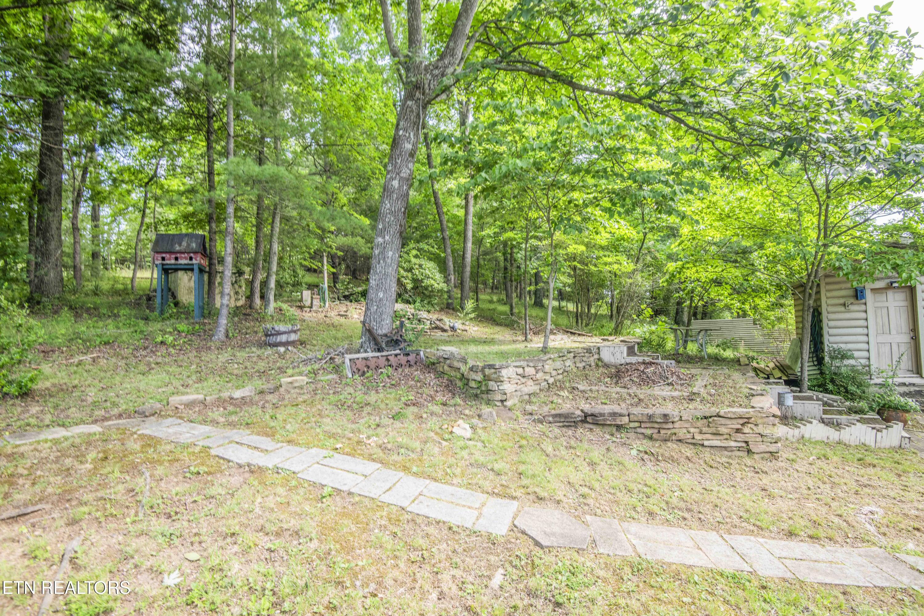17761 Alberta Street Oneida TN 37841