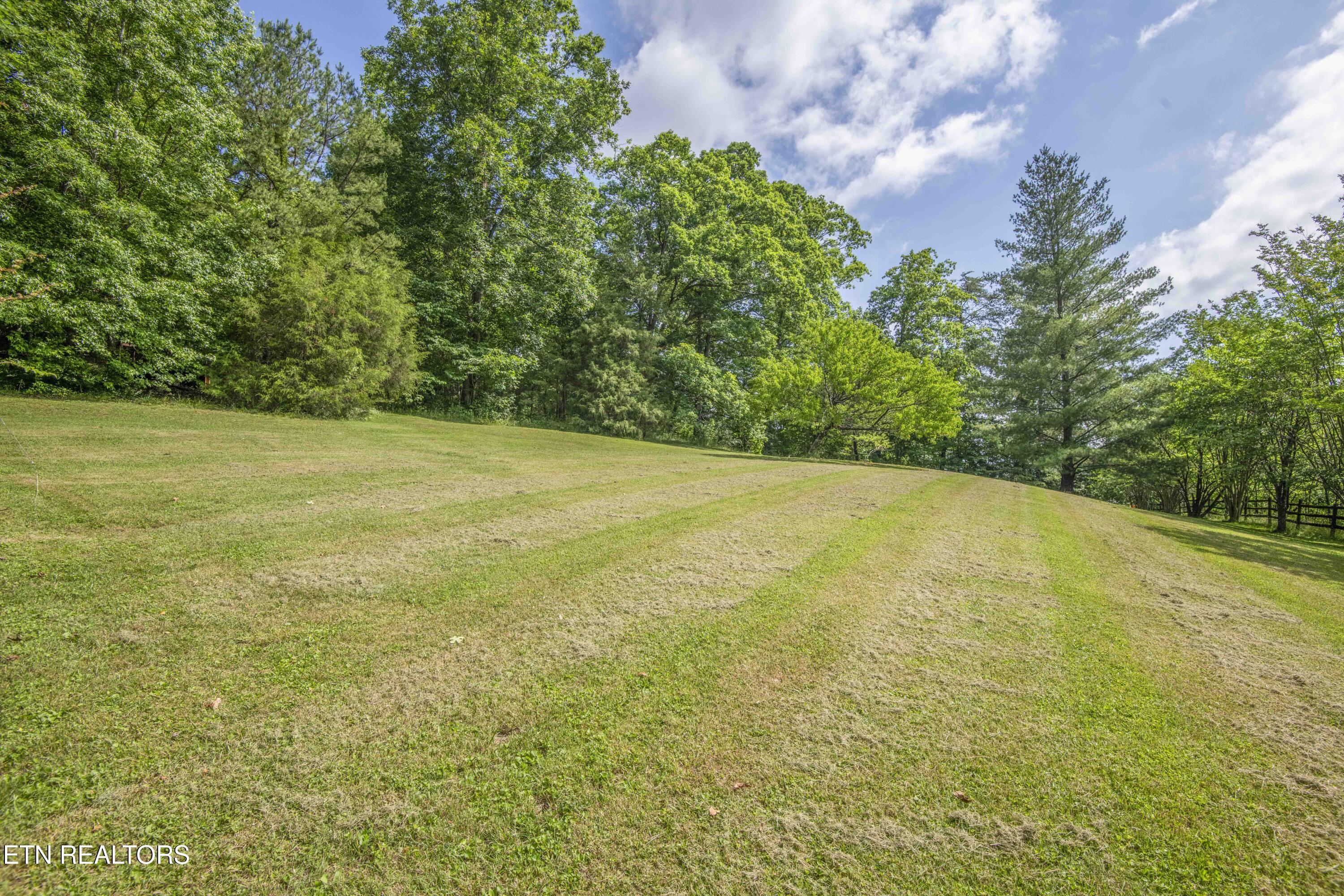 17761 Alberta Street Oneida TN 37841