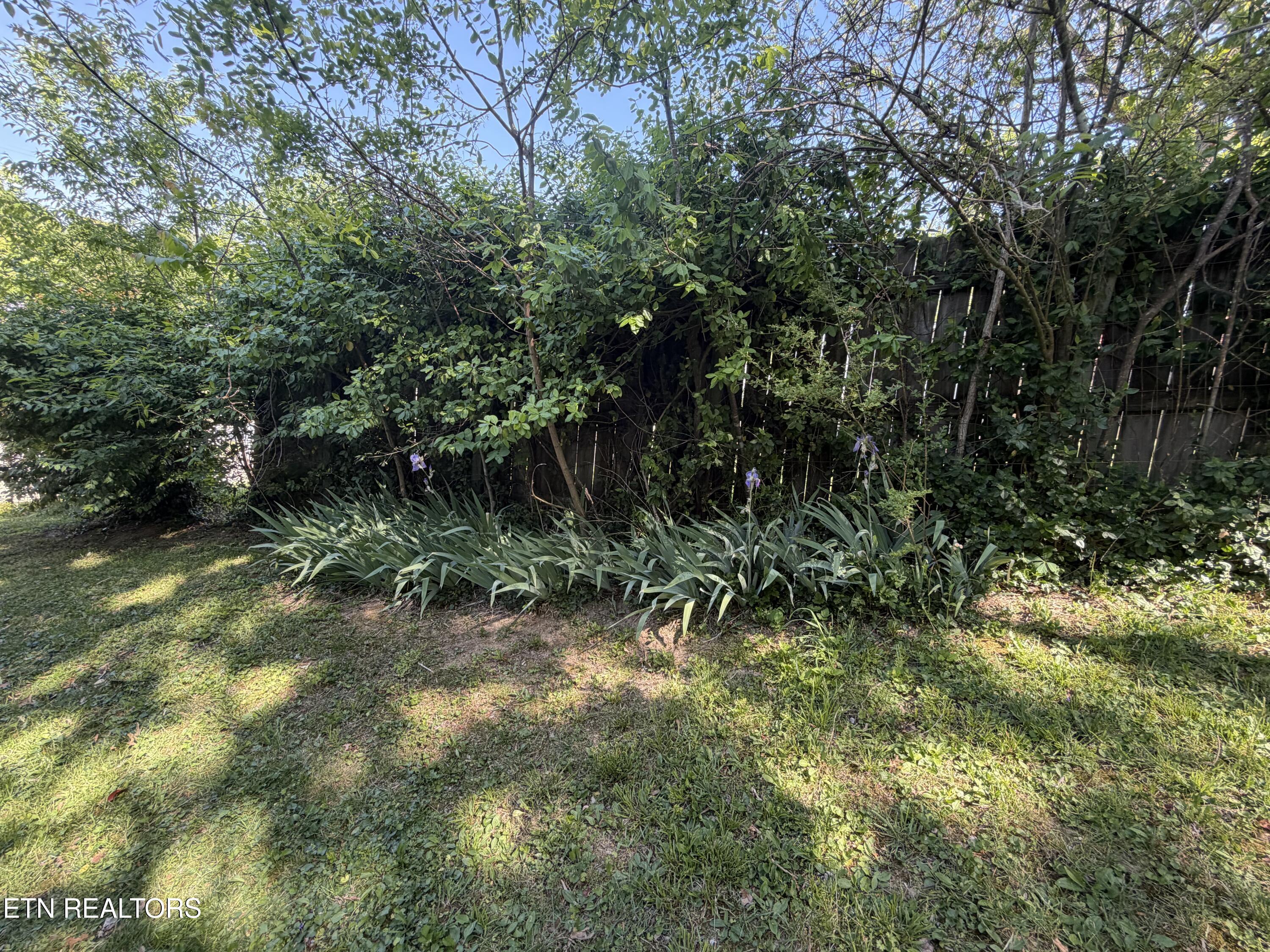 216 N Cross Street Oneida TN 37841