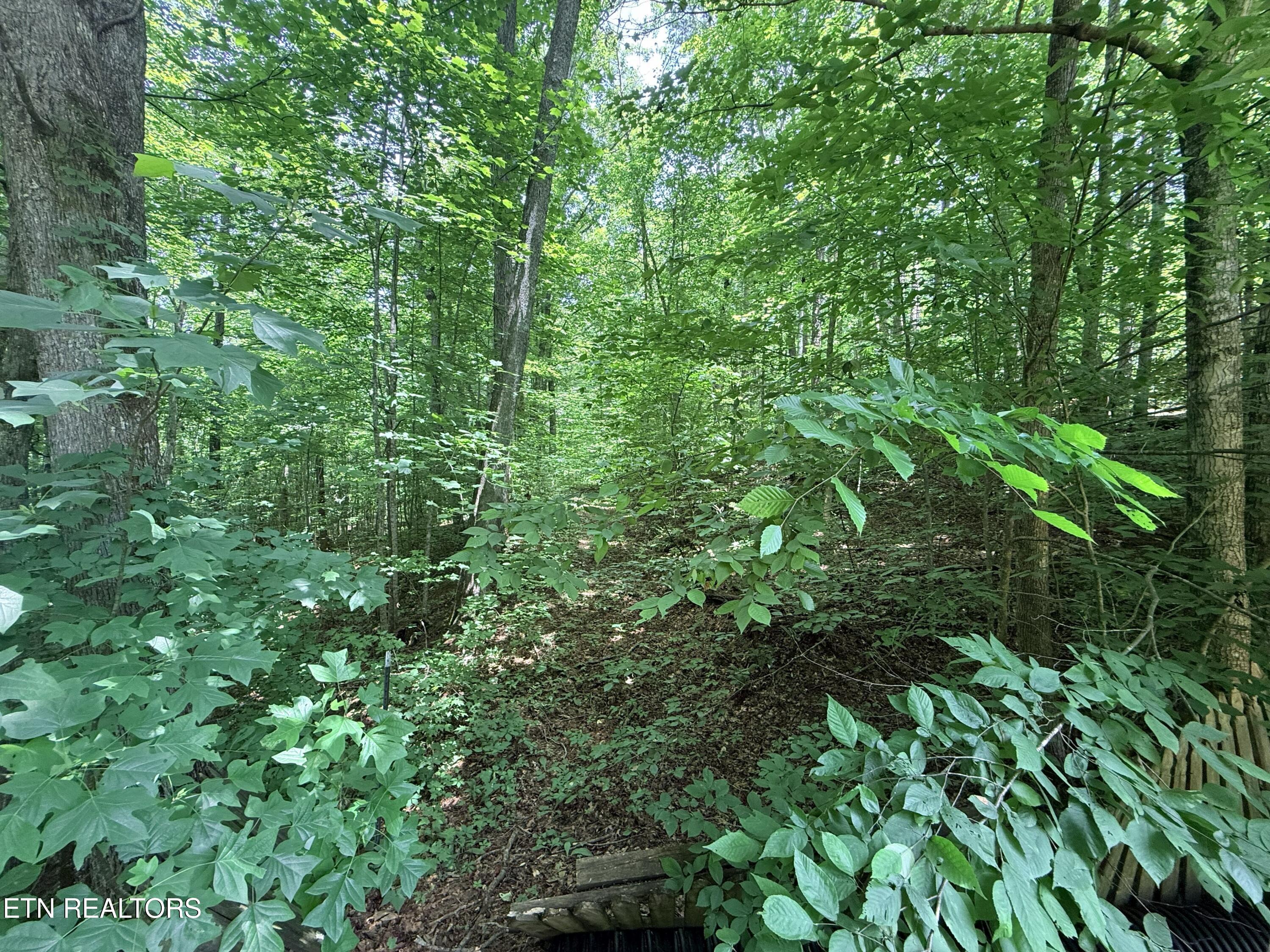 3726 Clayton Way Sevierville TN 37876