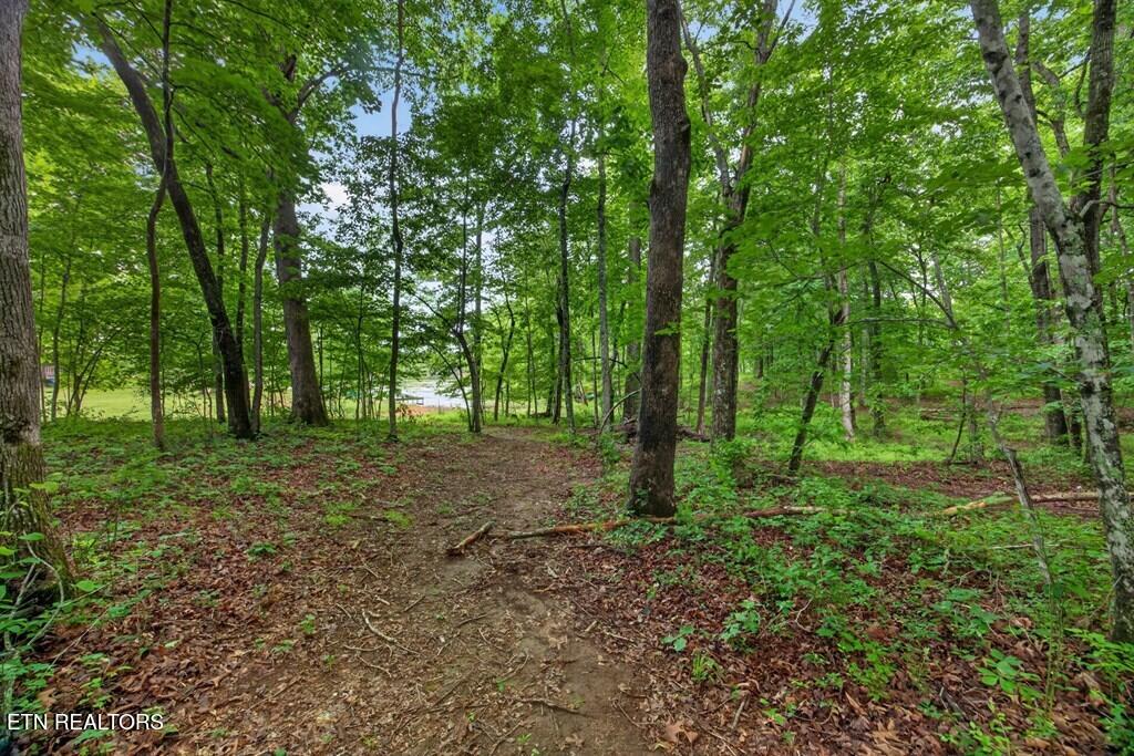 1211 Camp Belle Air Road Sparta TN 38583