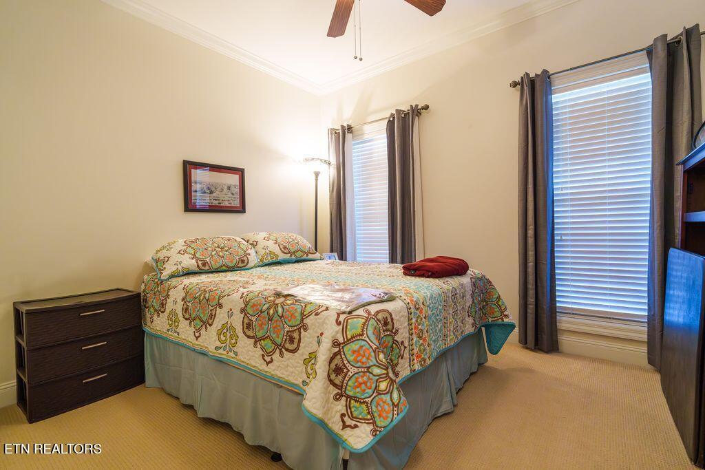 124 Saint James Place Cookeville TN 38501