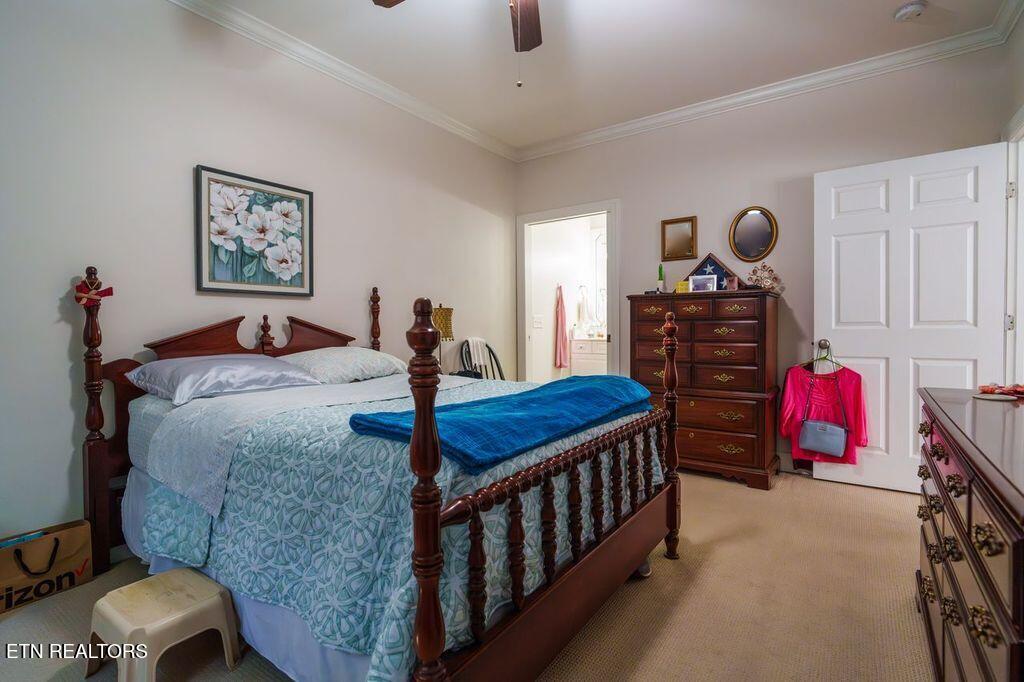 124 Saint James Place Cookeville TN 38501