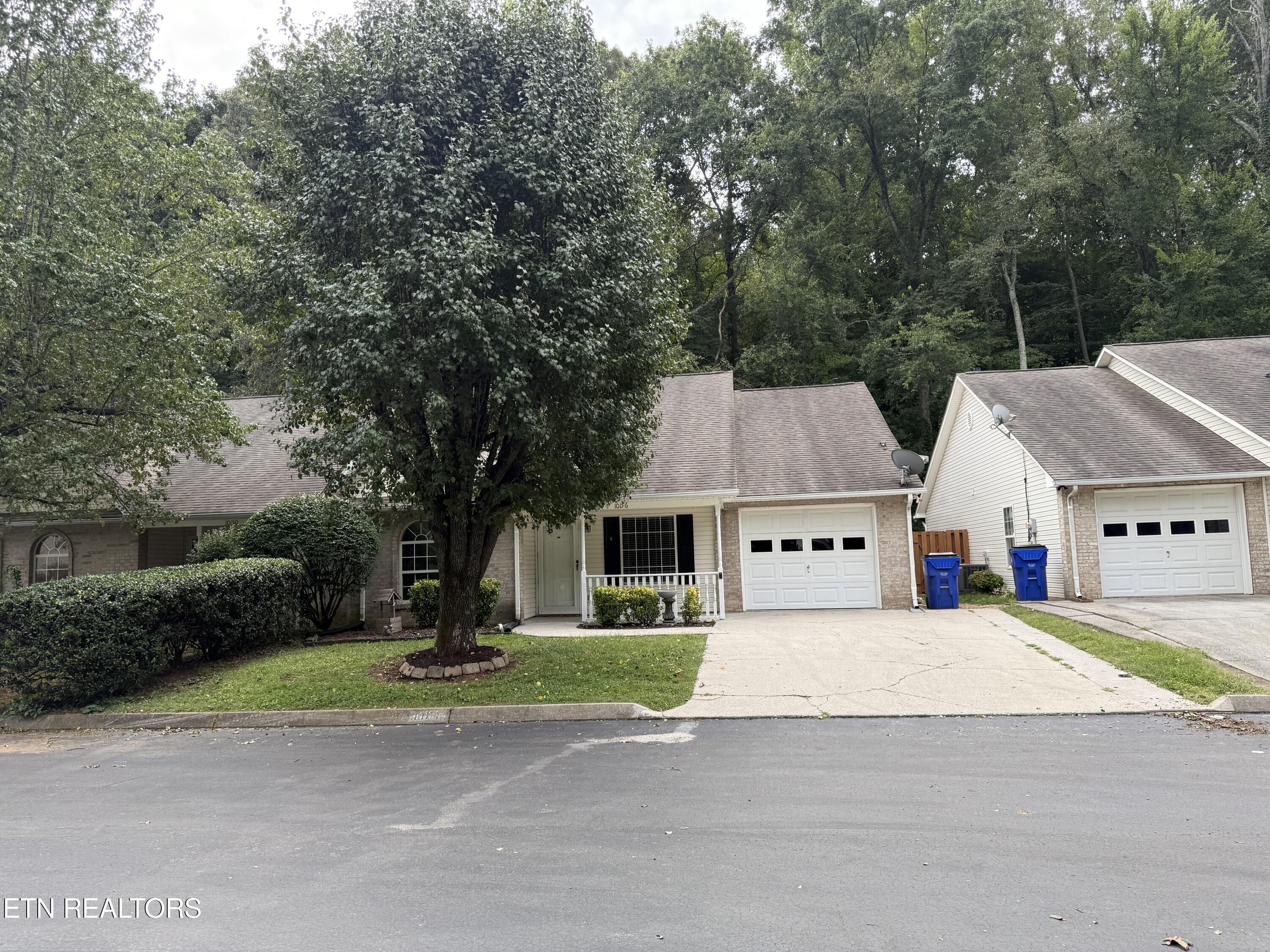 10156 Bellflower Way Knoxville TN 37932