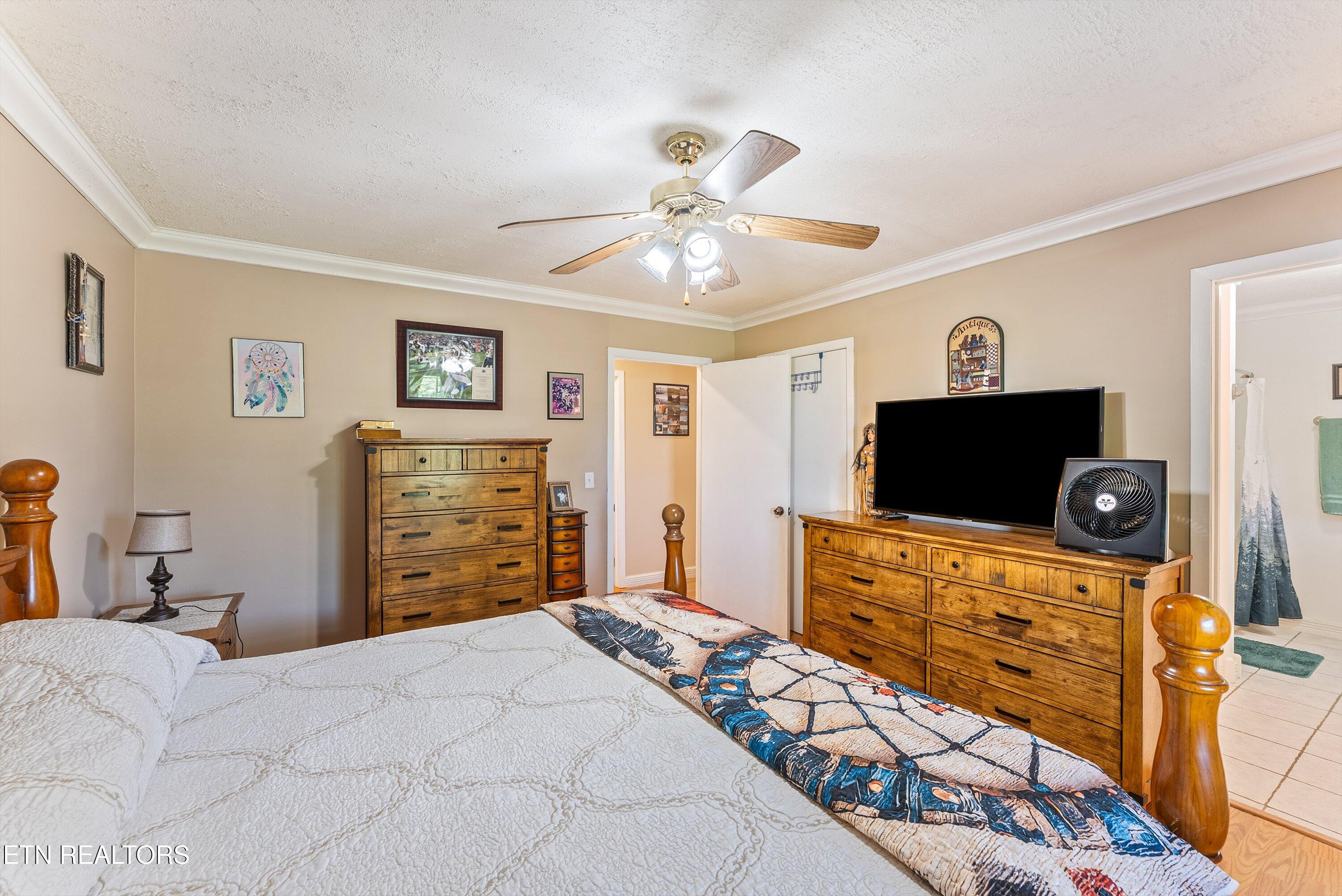539 Pauline Drive Pioneer TN 37847