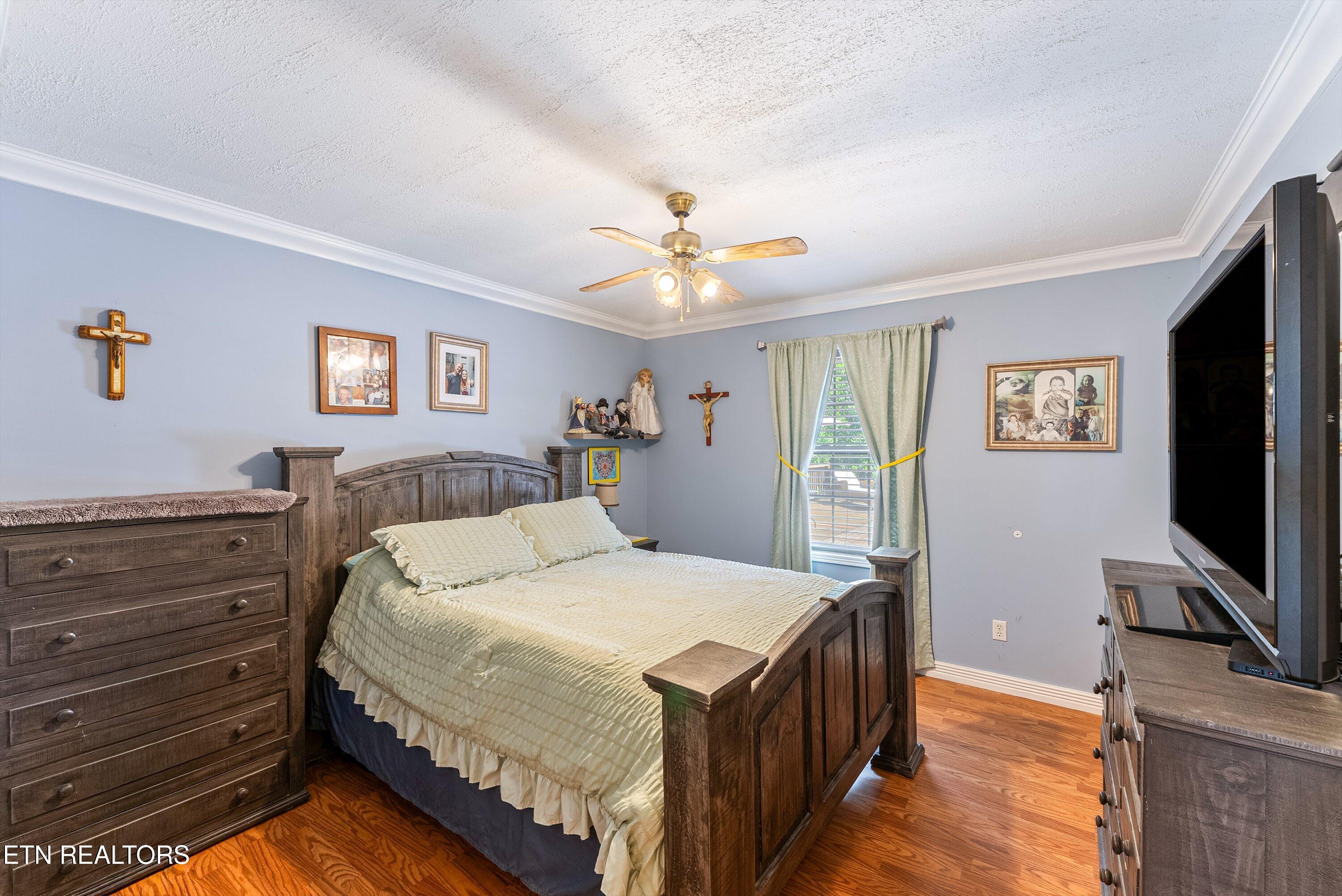 539 Pauline Drive Pioneer TN 37847