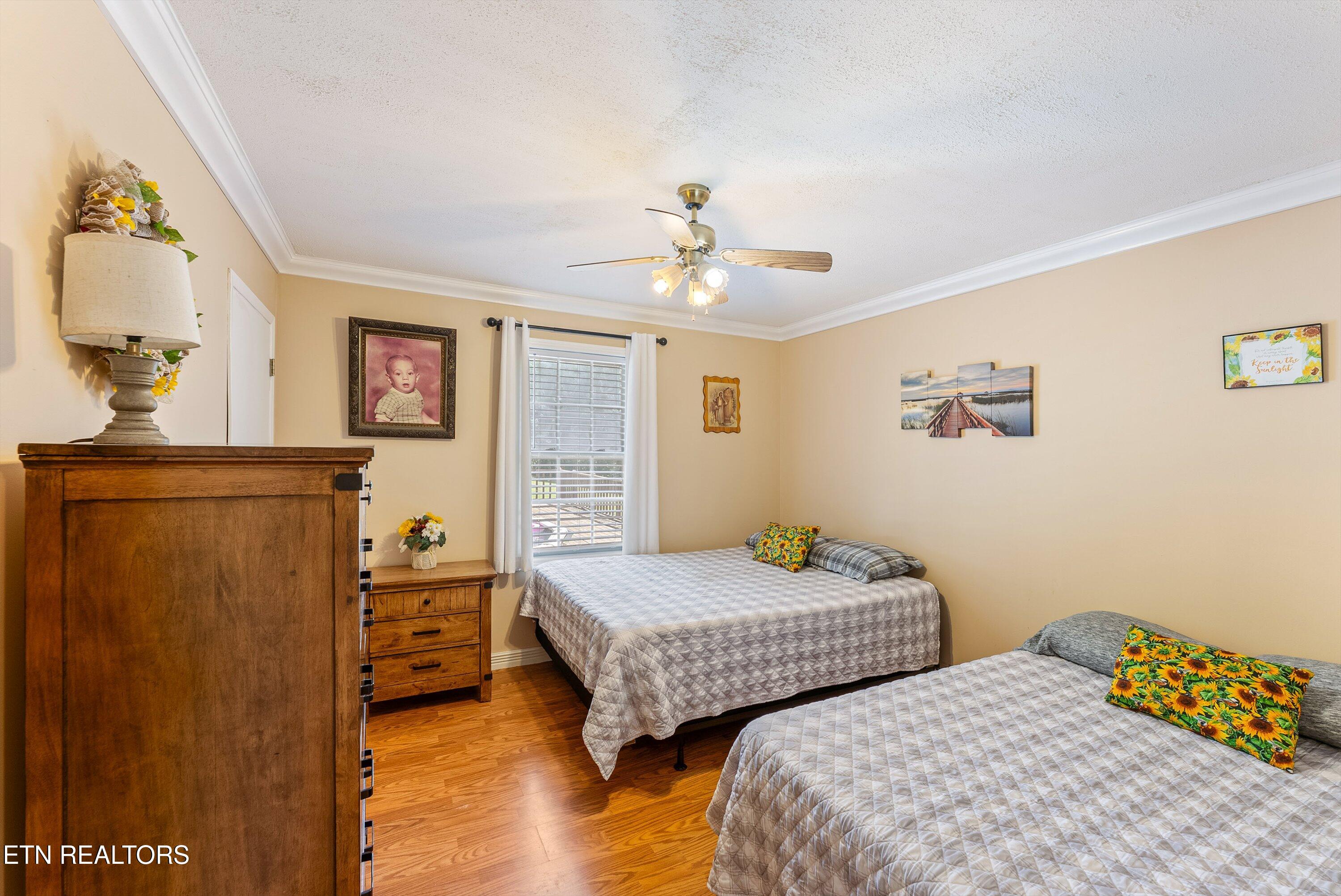 539 Pauline Drive Pioneer TN 37847