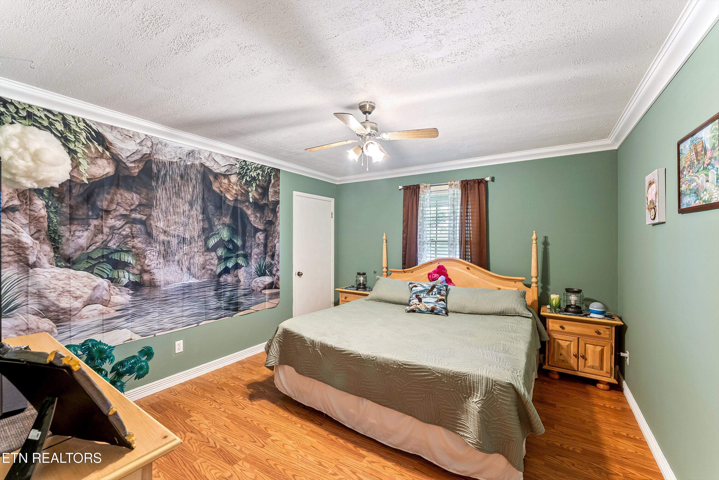539 Pauline Drive Pioneer TN 37847