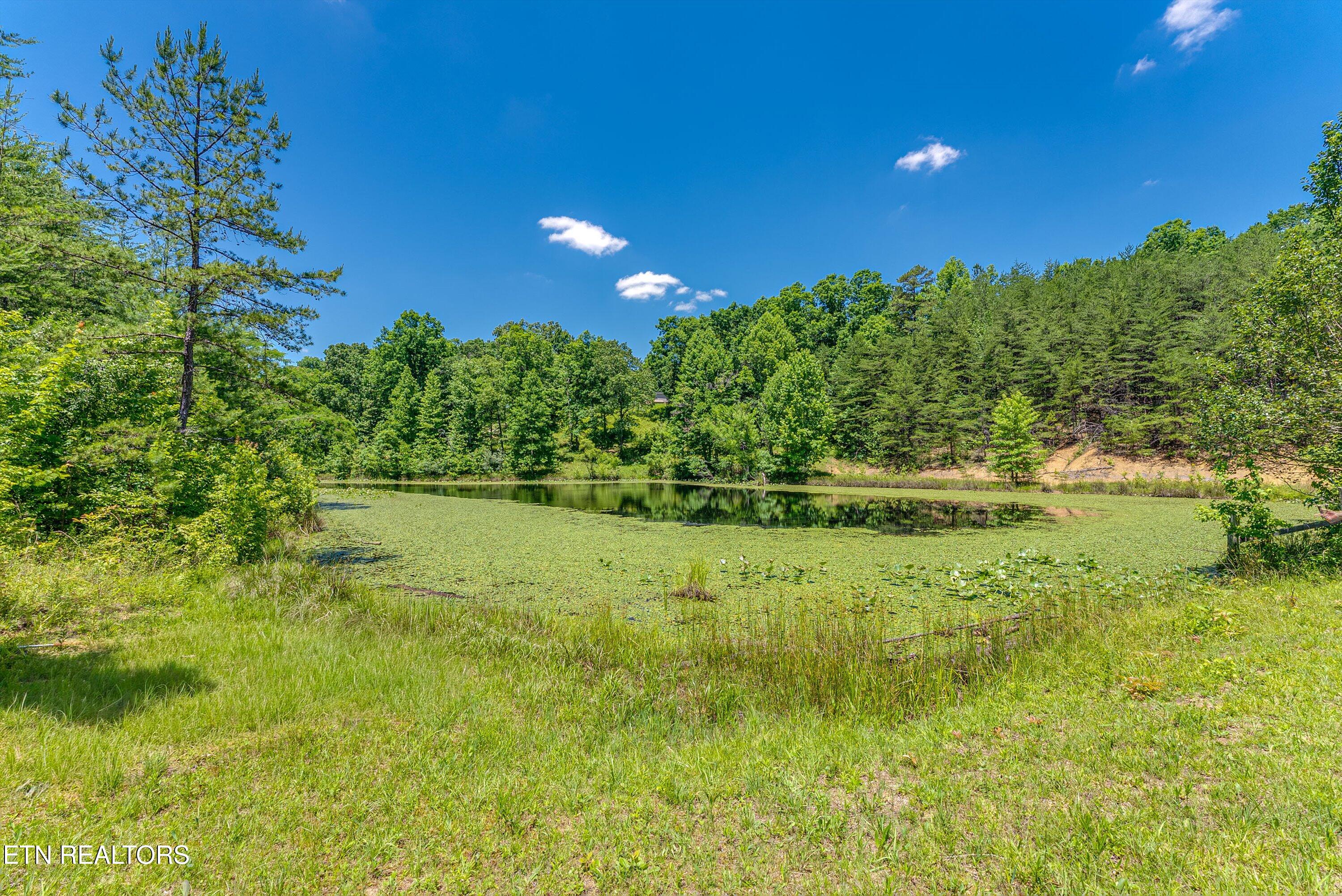 539 Pauline Drive Pioneer TN 37847