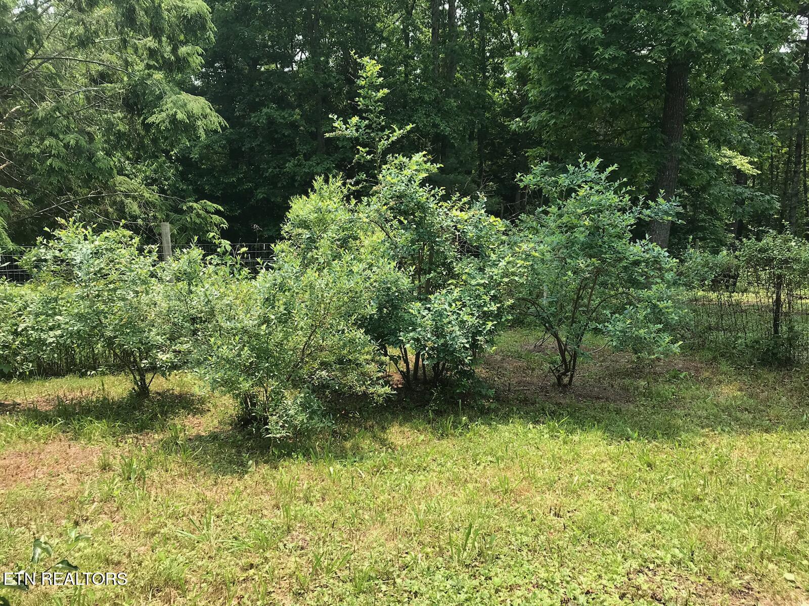2882 York Road Crossville TN 38555