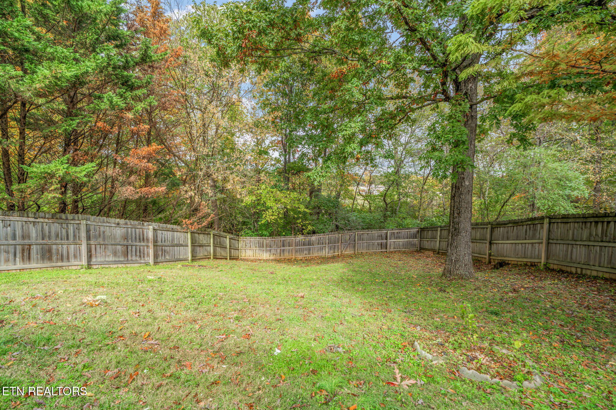 6100 Morning Glory Place Knoxville TN 37912