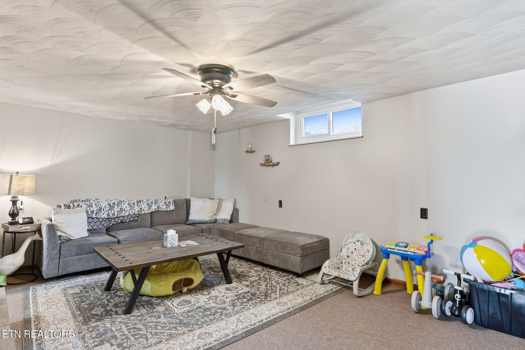 798 Christenson Road Deer Lodge TN 37726