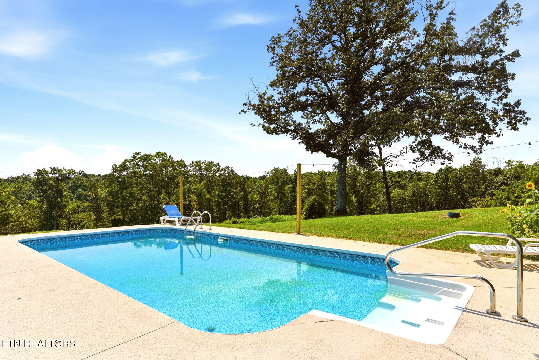 798 Christenson Road Deer Lodge TN 37726