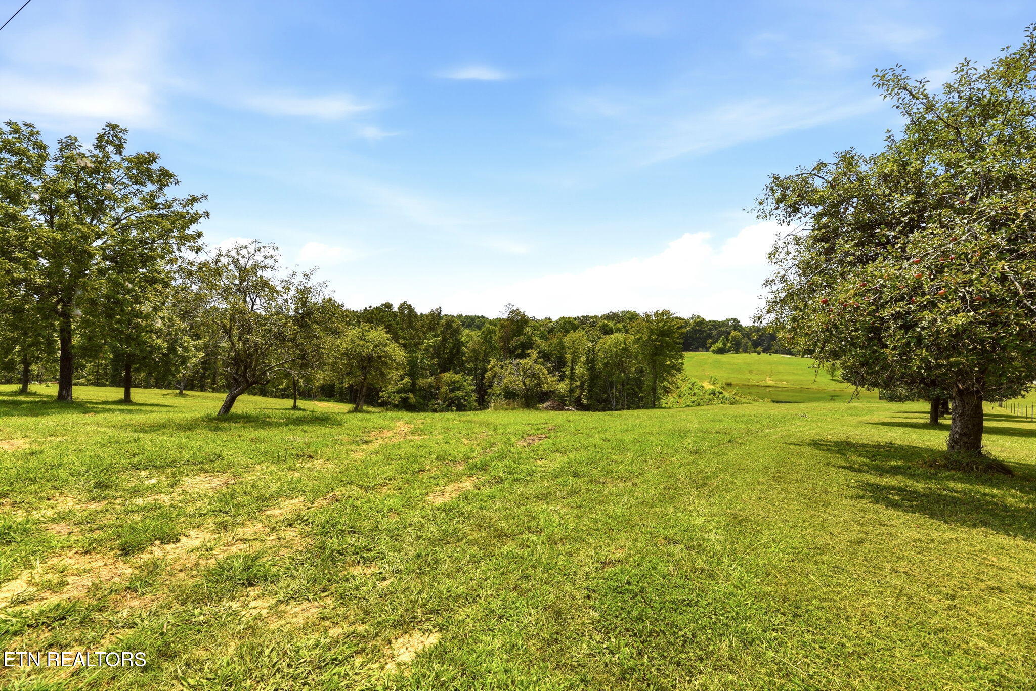 798 Christenson Road Deer Lodge TN 37726