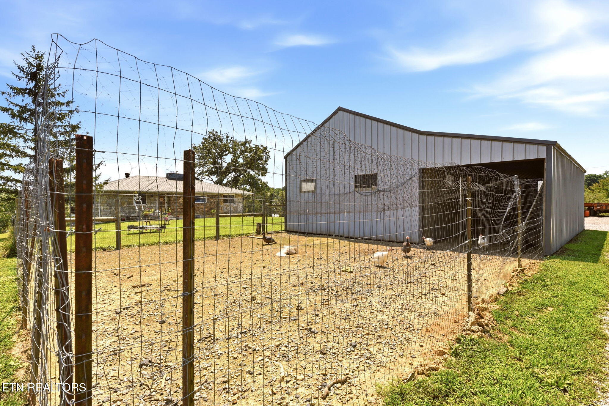 798 Christenson Road Deer Lodge TN 37726