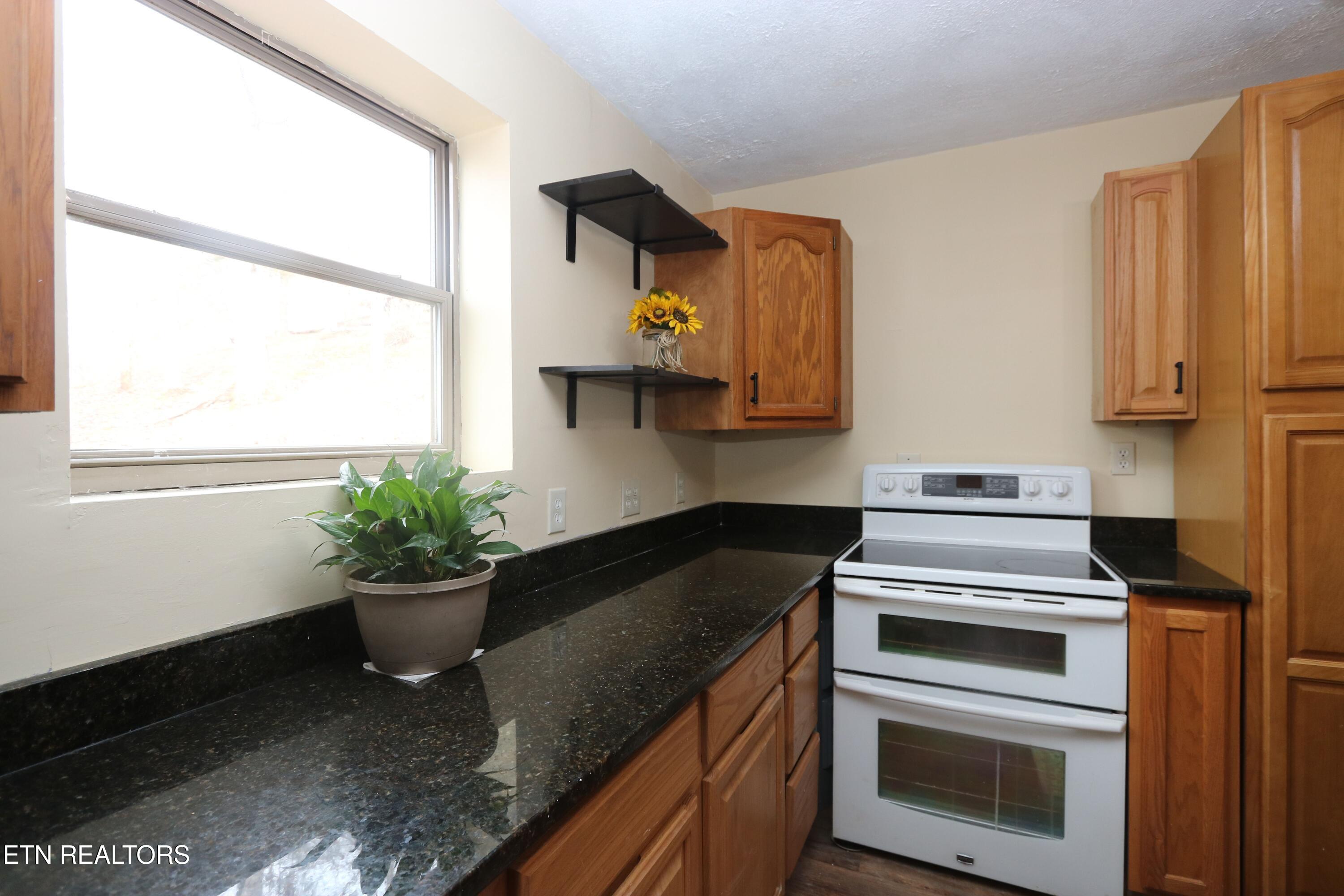 110 Laguna Vista Drive Caryville TN 37714