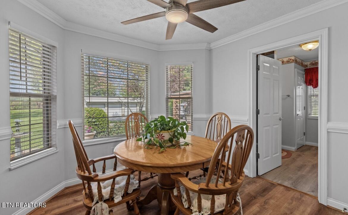 2041 Witt Road White Pine TN 37890